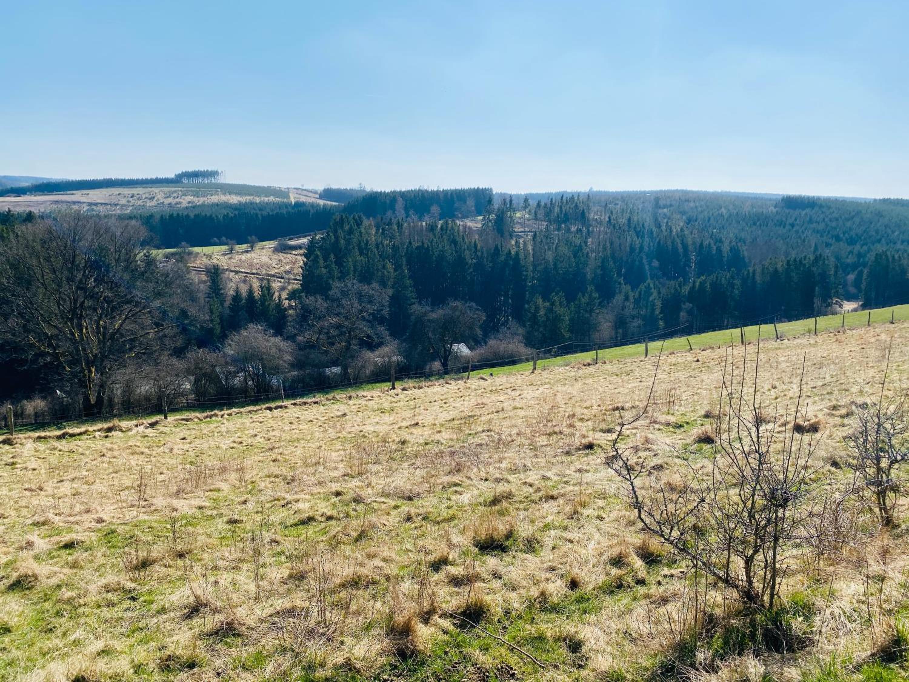 Le Scailleteux - Gîte de charme clôturé, accès à la rivière