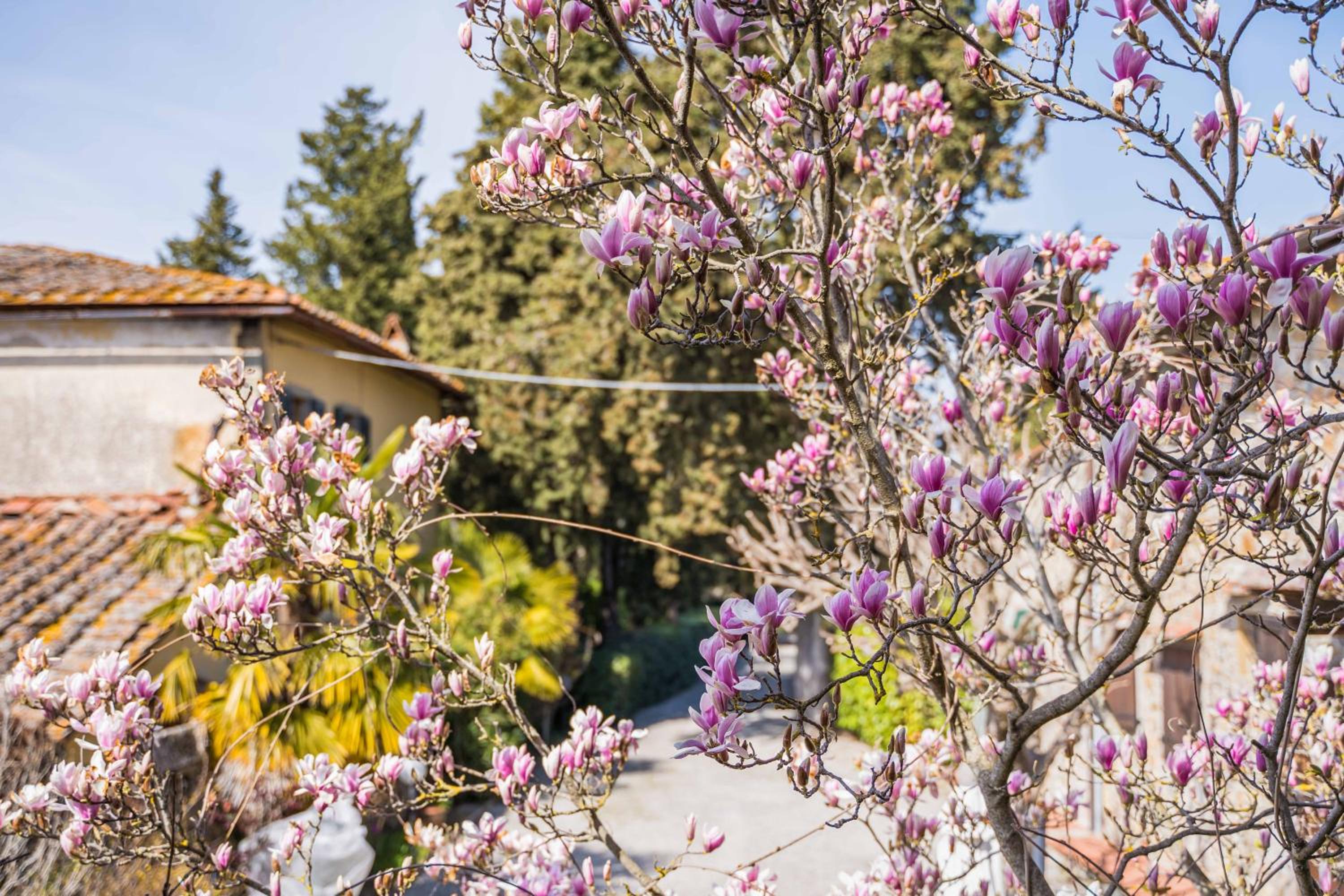 La Magnolia view 5