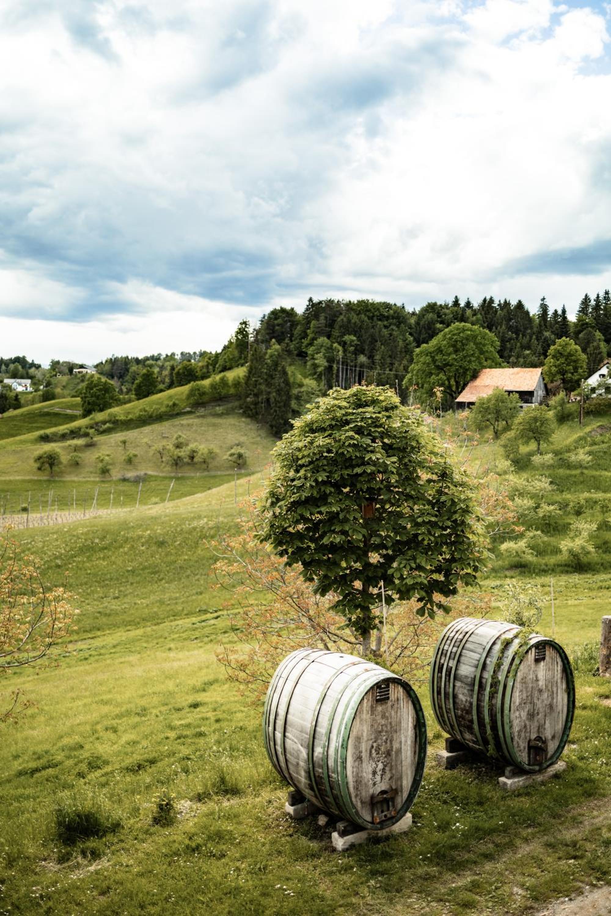 Winzerzimmer Pronegg vlg. Kristeindl