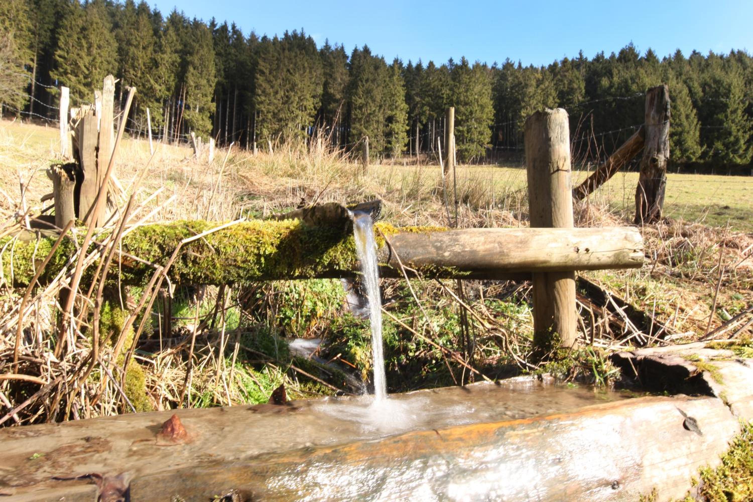 Fewo Ettelsberg Niedersfeld en Winterberg — other