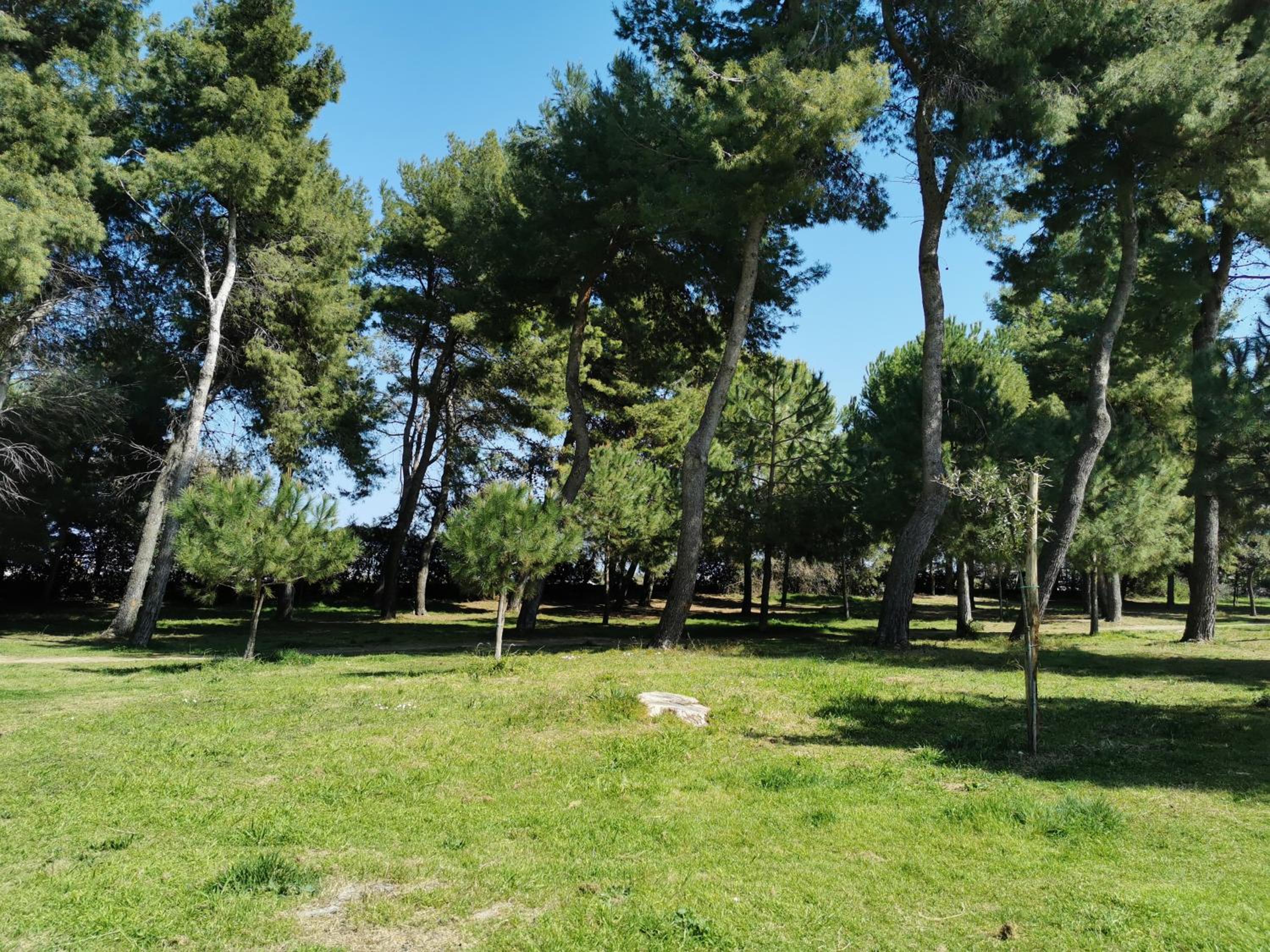 Photo 45