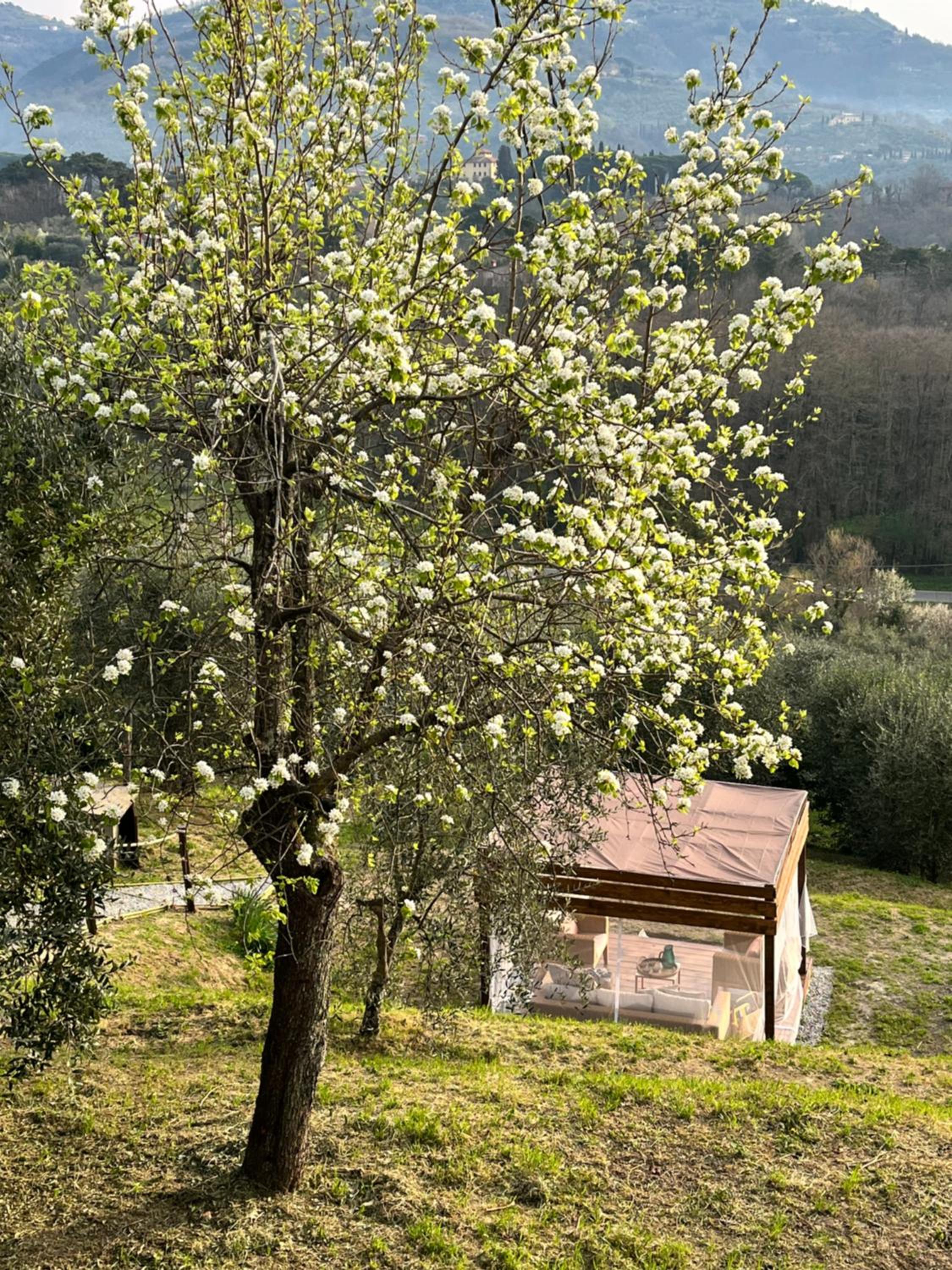 Photo 28