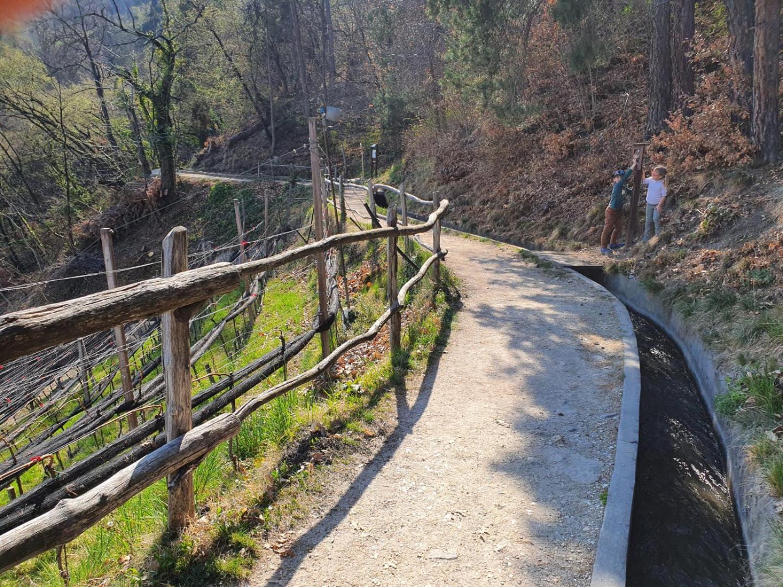 Photo 46