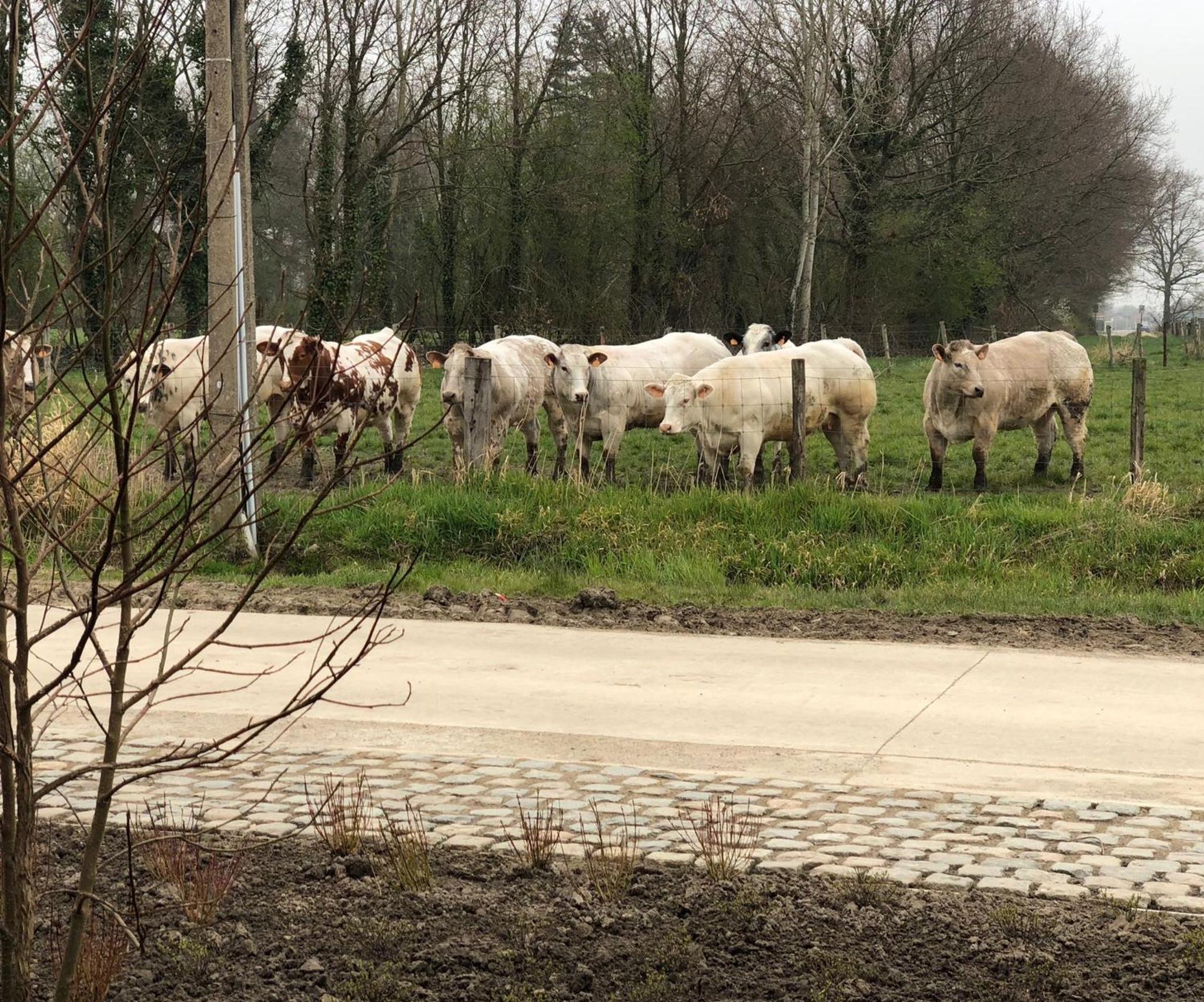 De Betze - Country Life