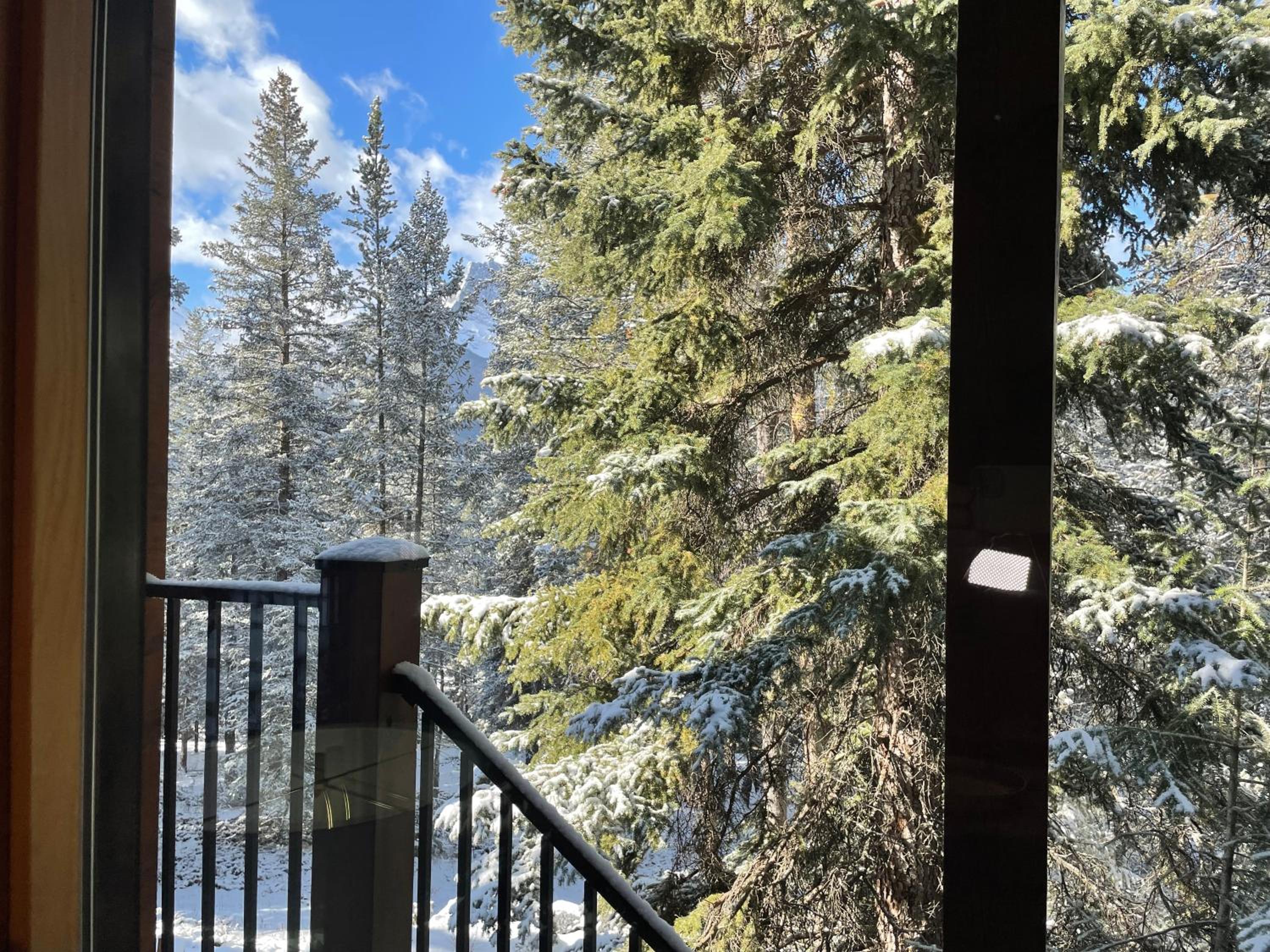 Blanchard Mountain BnB