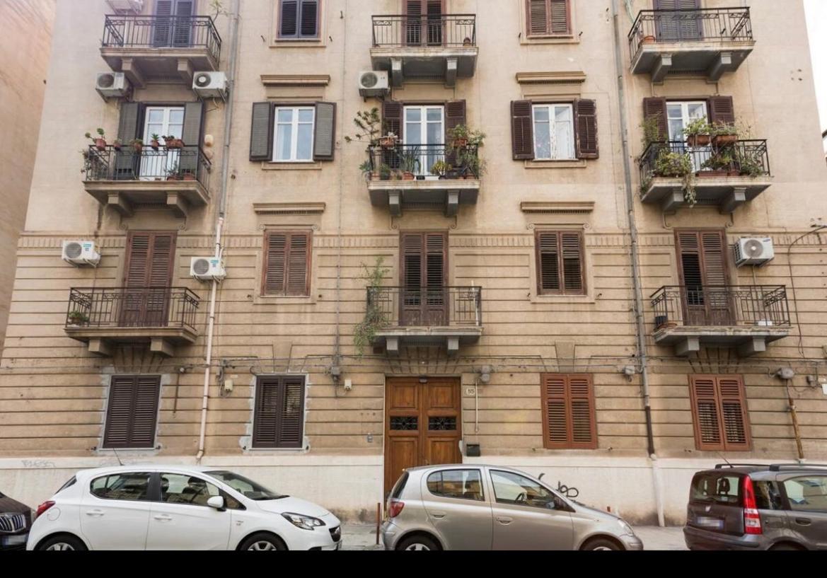 Charmie flat view 3