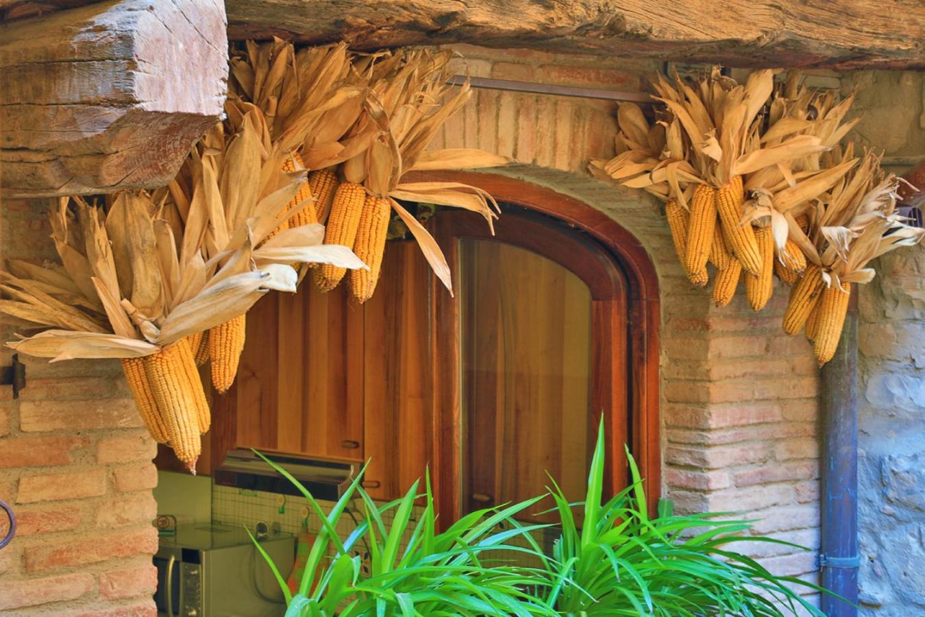 Apartment in B&B Del Giglio