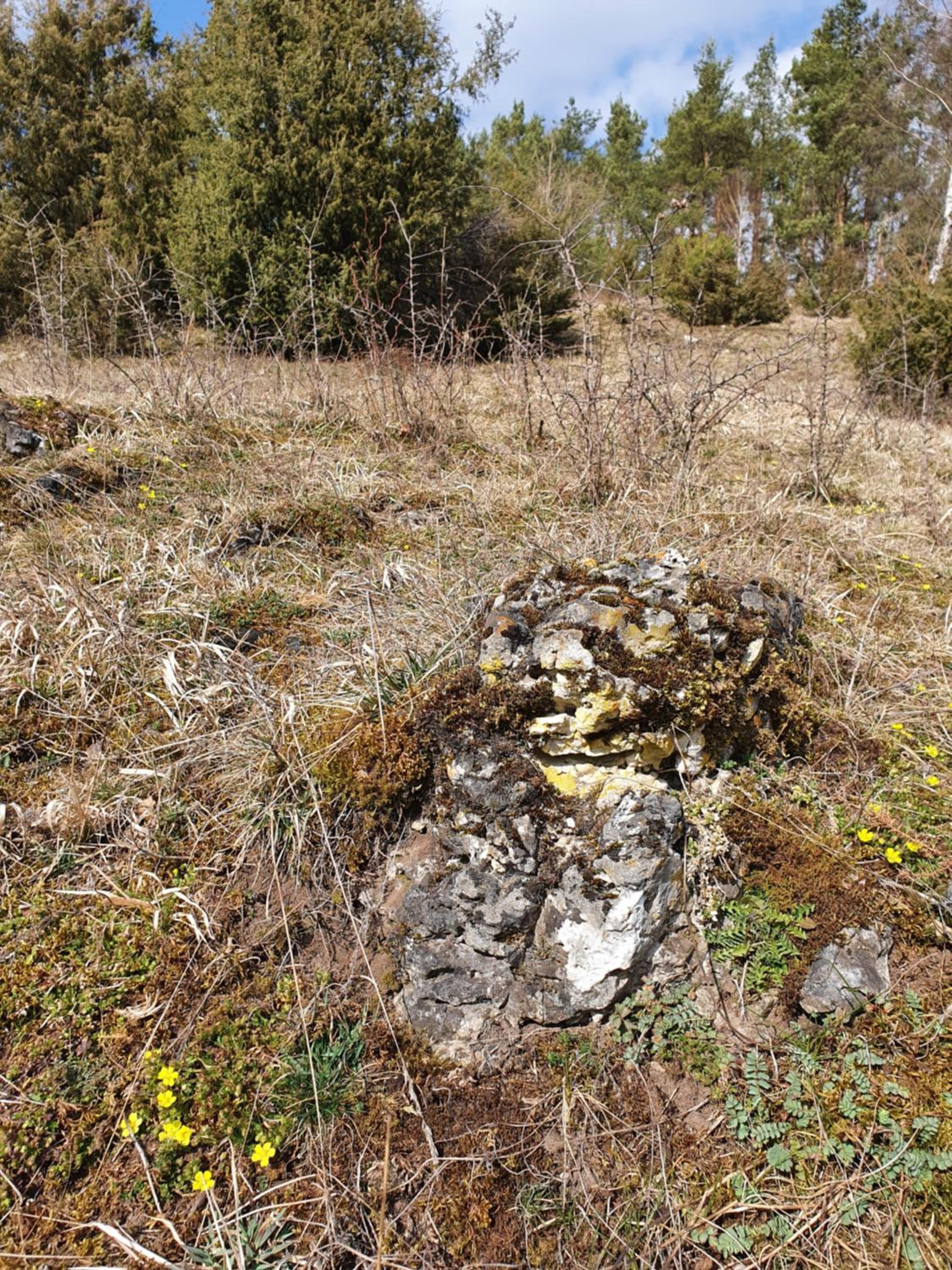 Photo 17