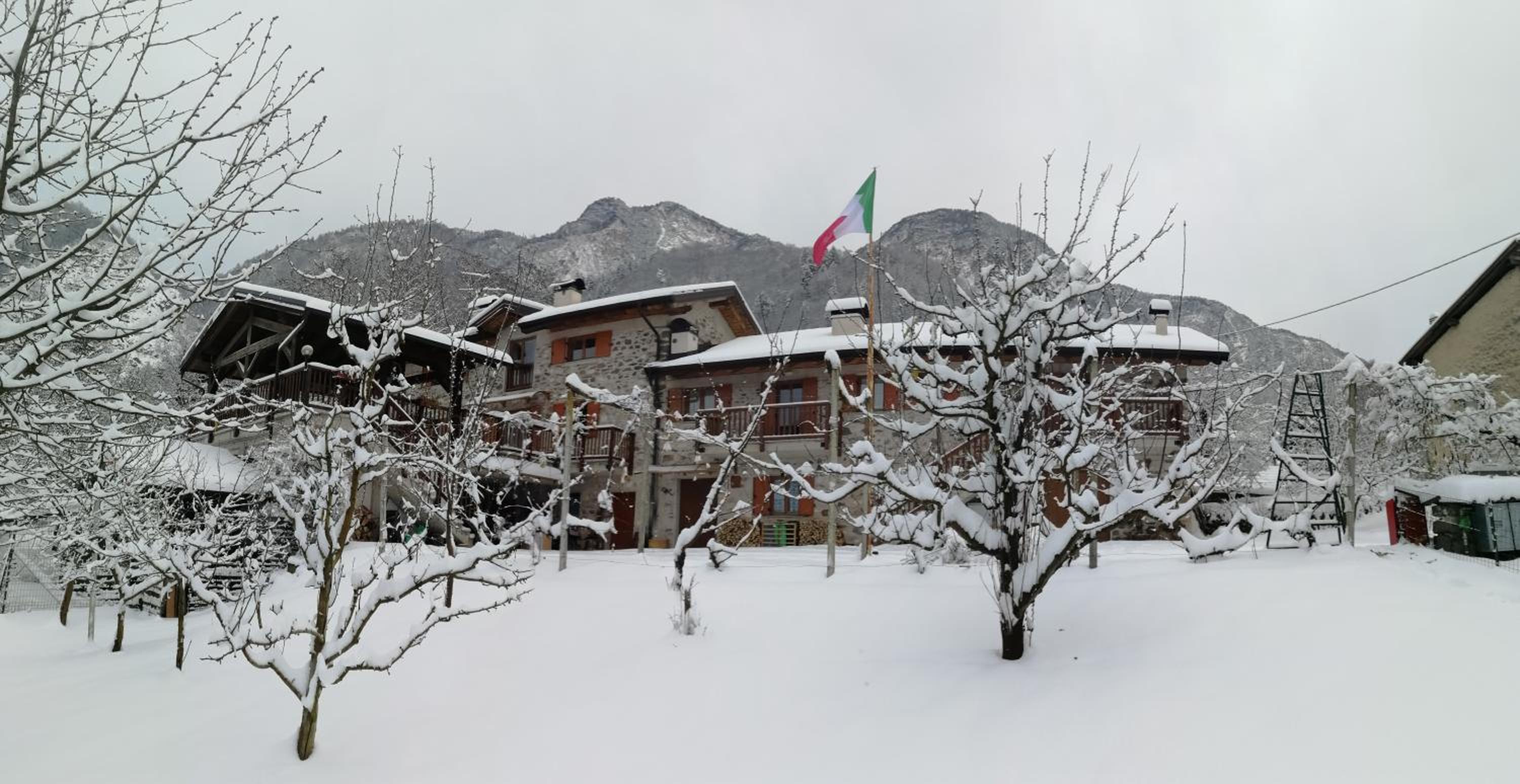Photo 46