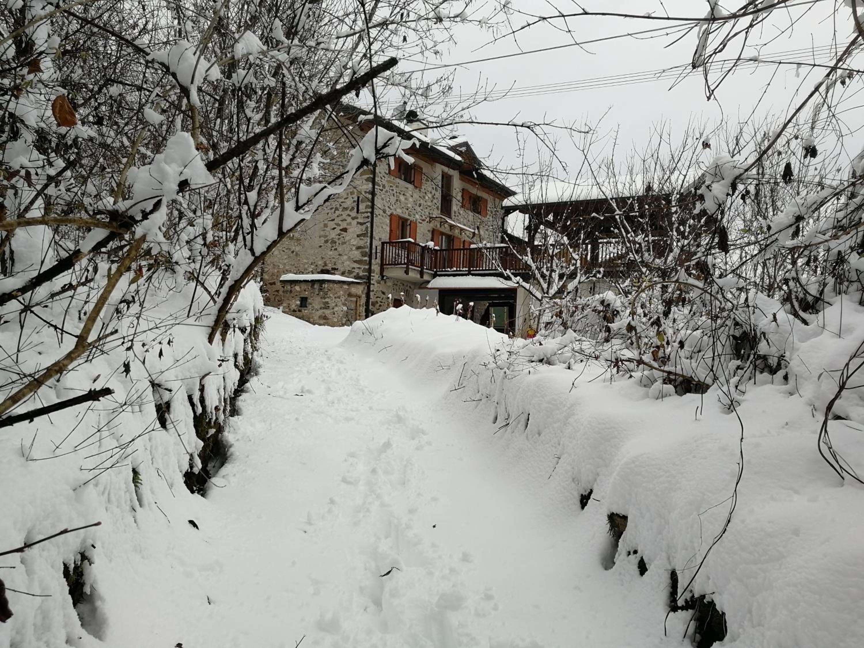Photo 45