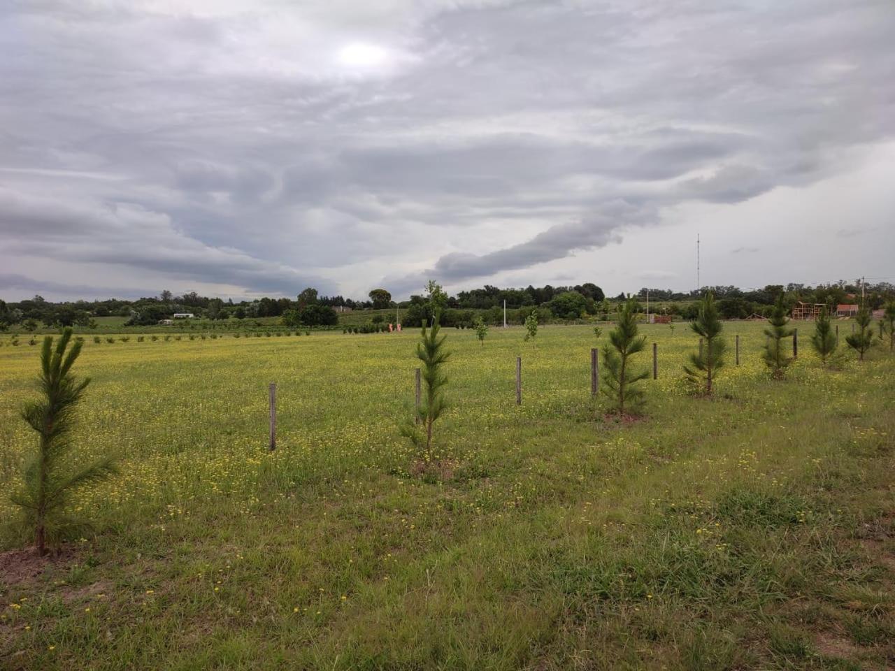 Tierra de Inmigrantes