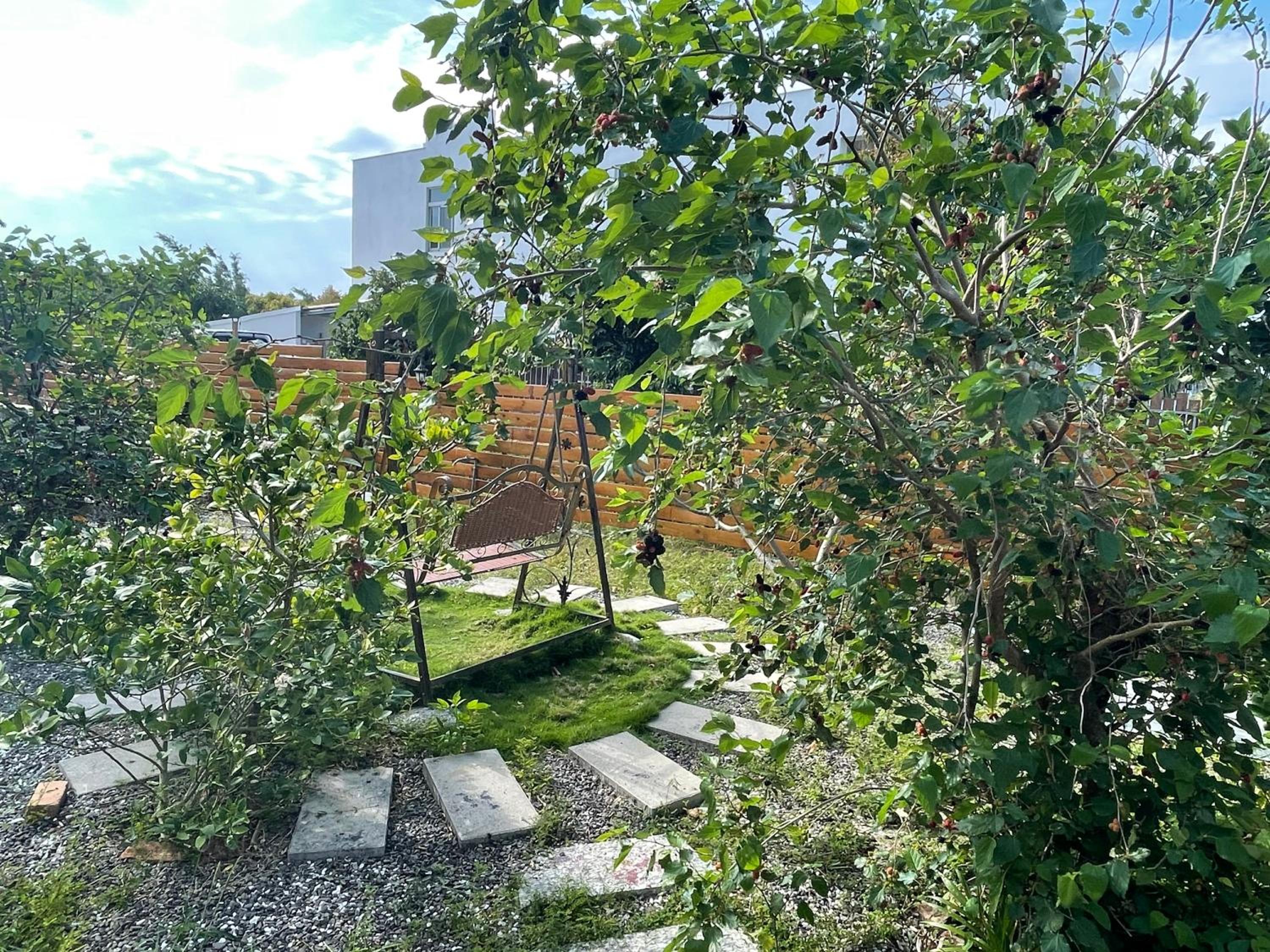Photo 31