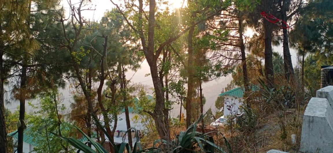 2BHK ALPINE VILLA view 5