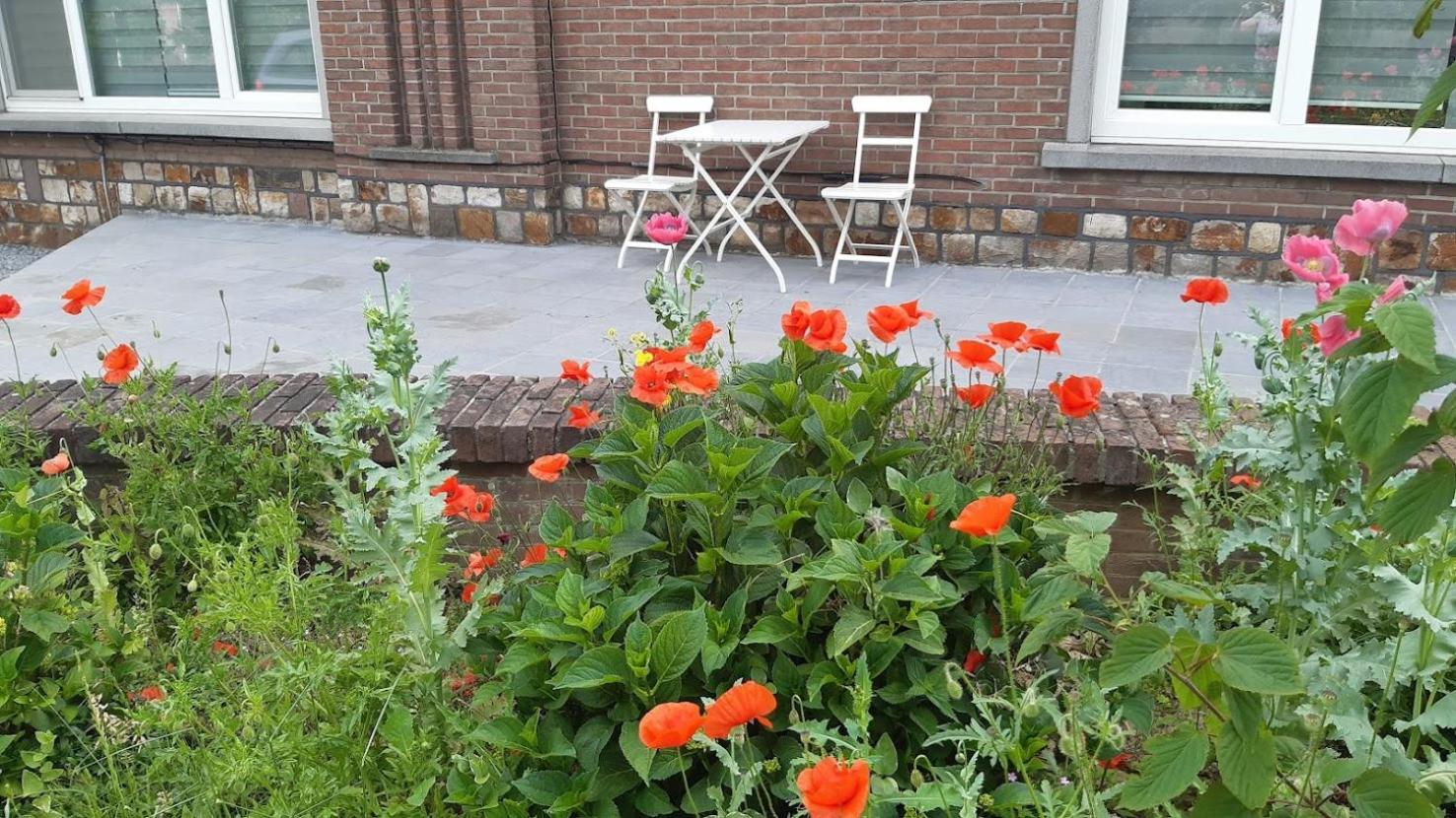 Photo 35
