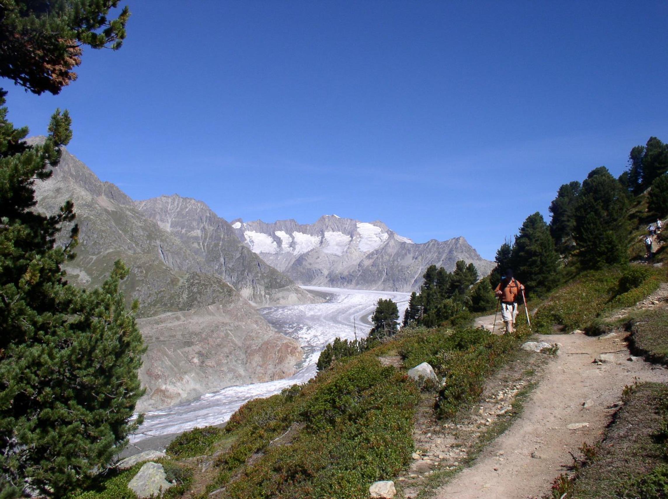 Photo 44