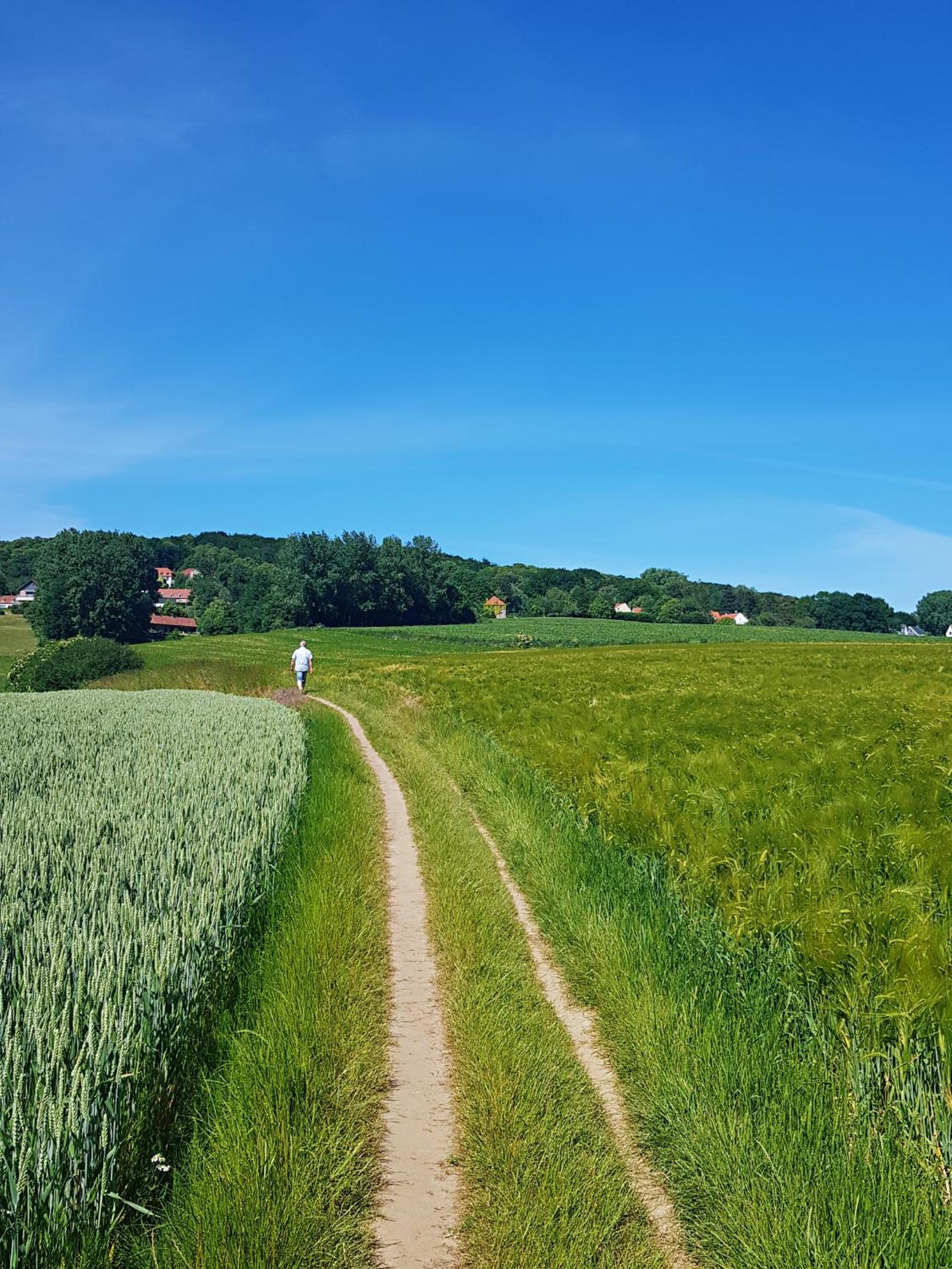 B&B Le Reclus, photo 34