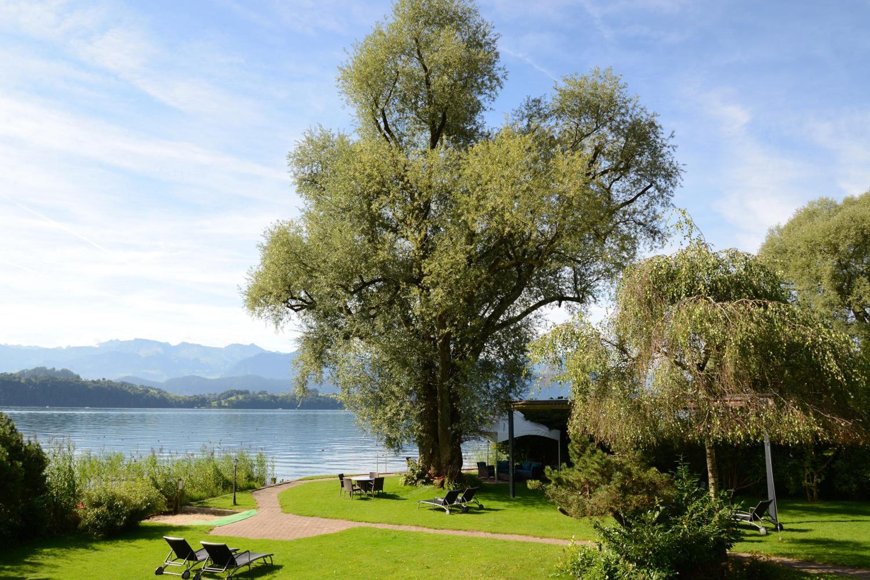 Swiss-Chalet Merlischachen - Historik Chalet-Hotel Lodge