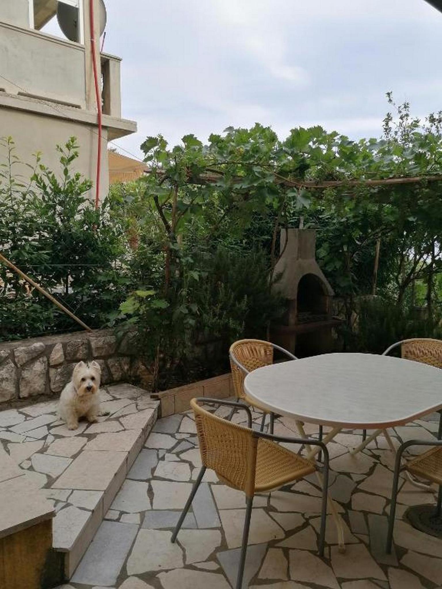 House Panorama view 2