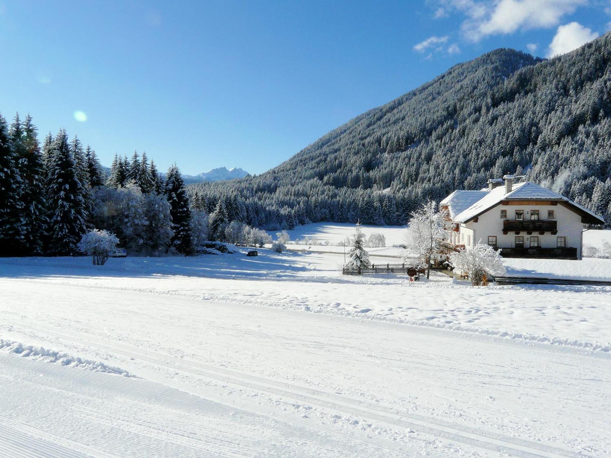 Stacherhof