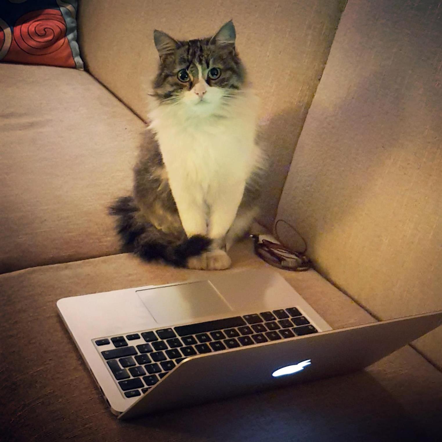 Karadut Cave Hotel - Image 39