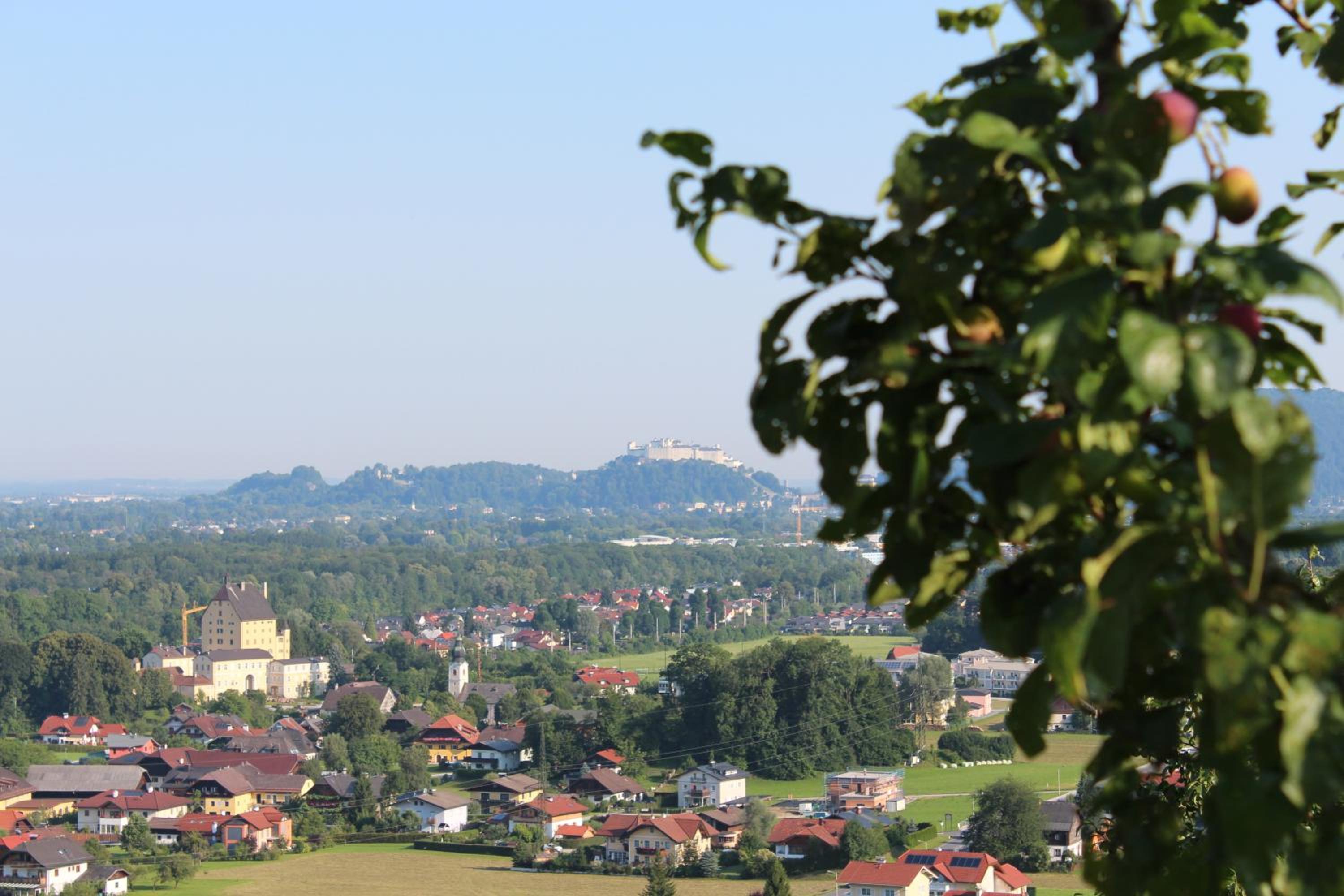 Haus Haslach
