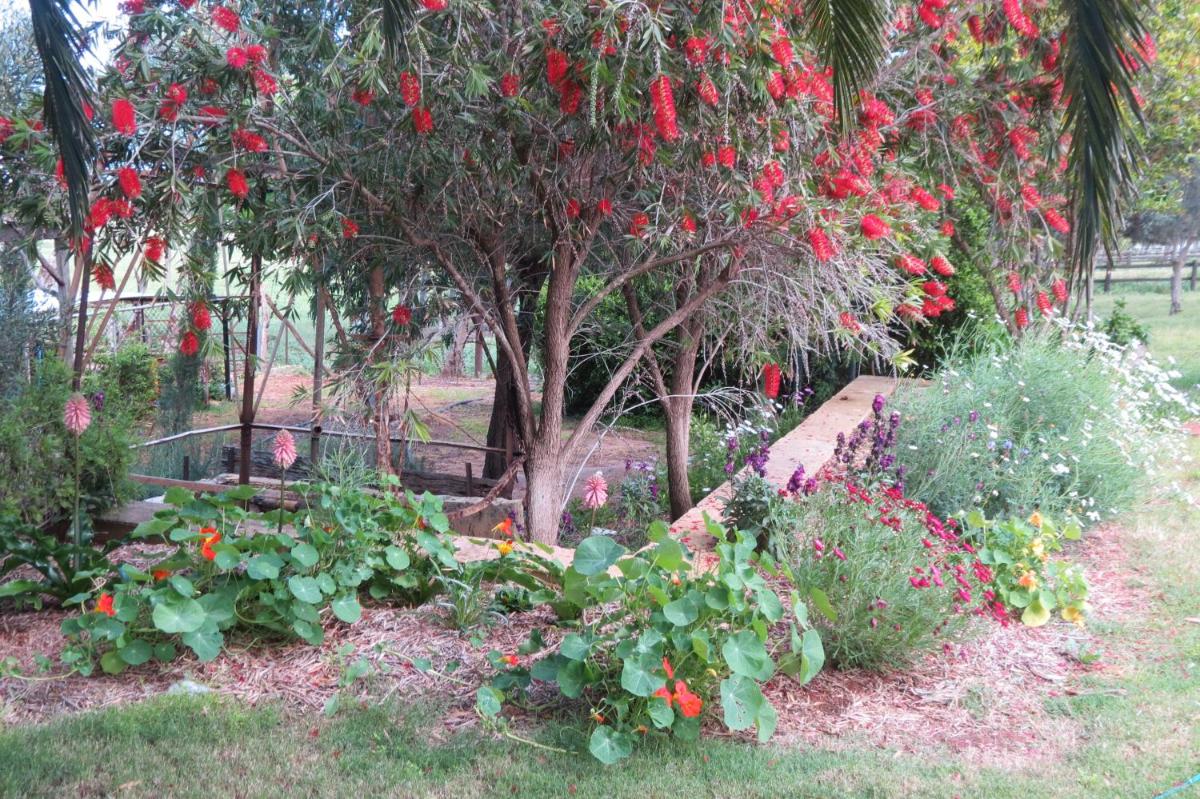 Bentwood Olive Grove Accommodation