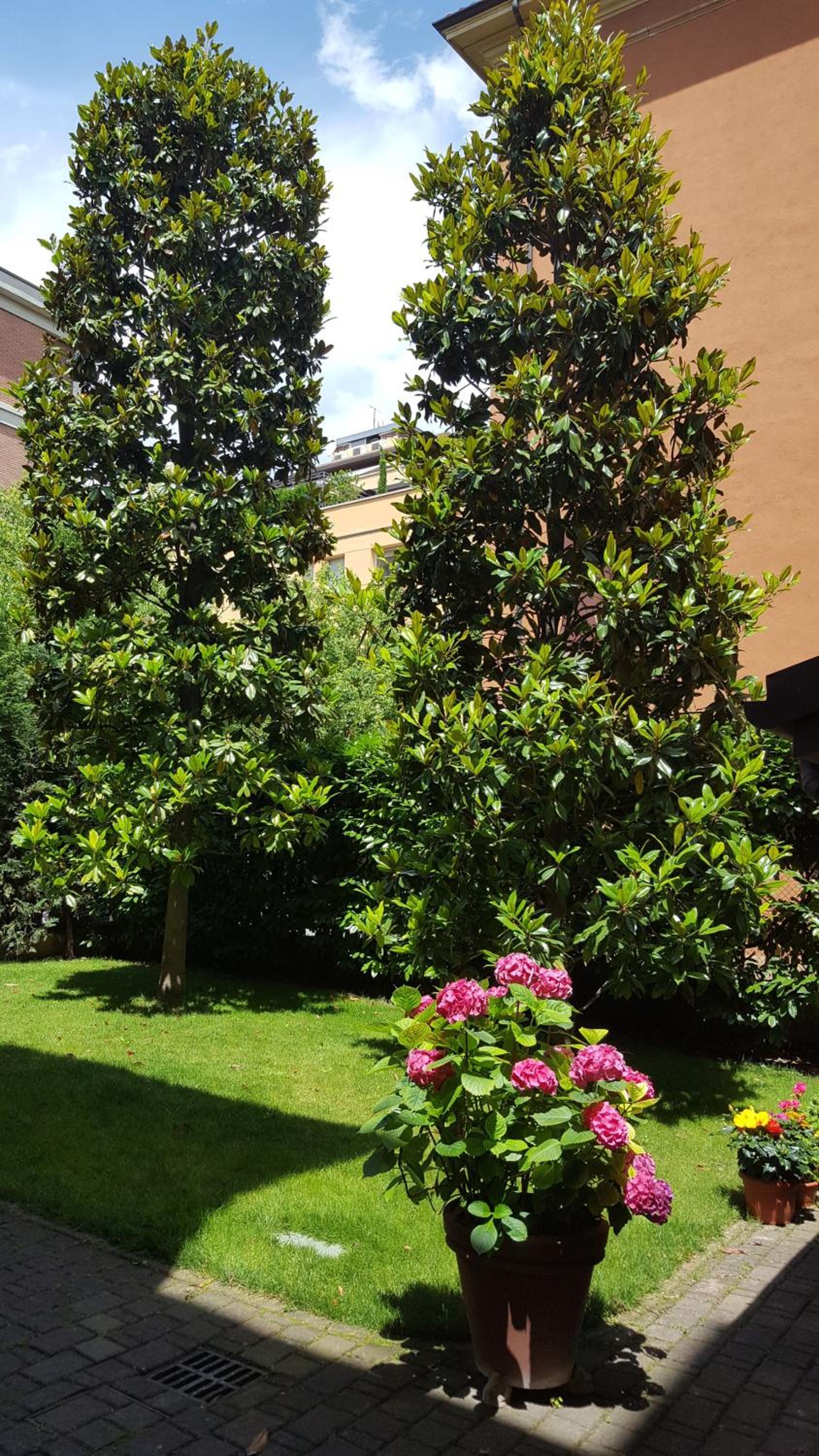 La Magnolia B&B view 4