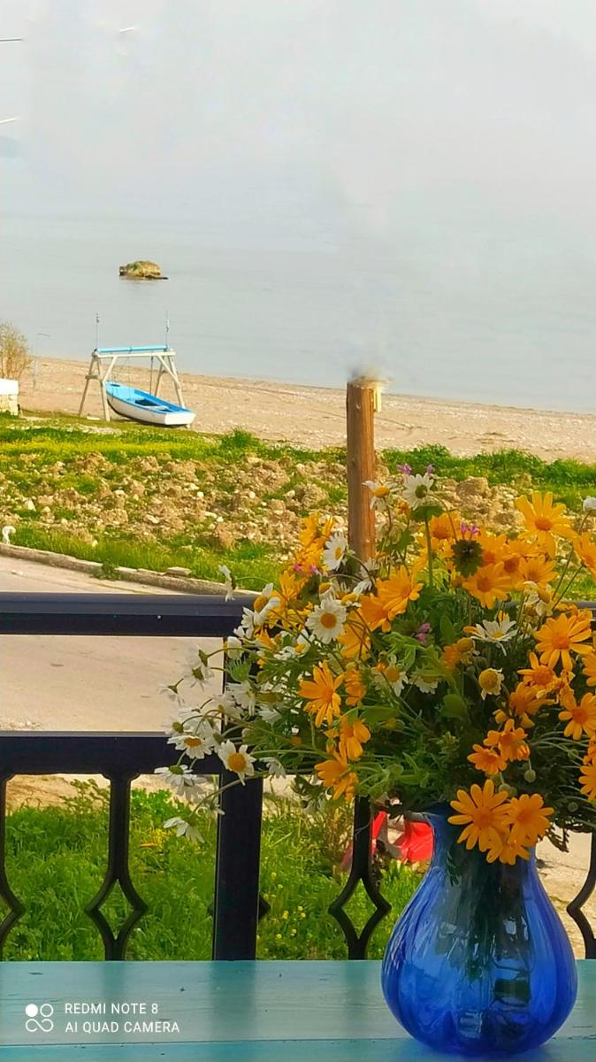 Socrates Sea View photo 2