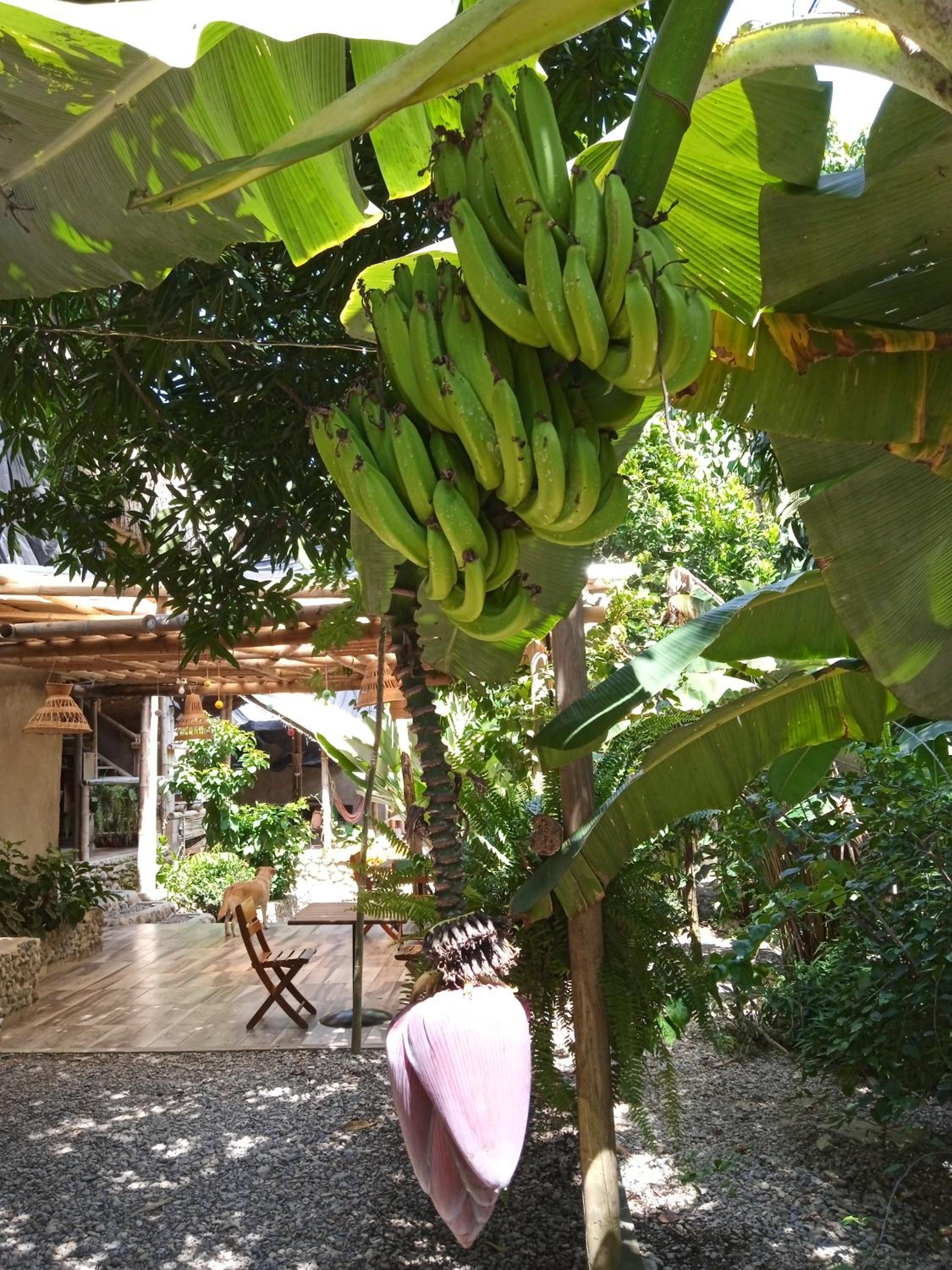 La Percha Hostal