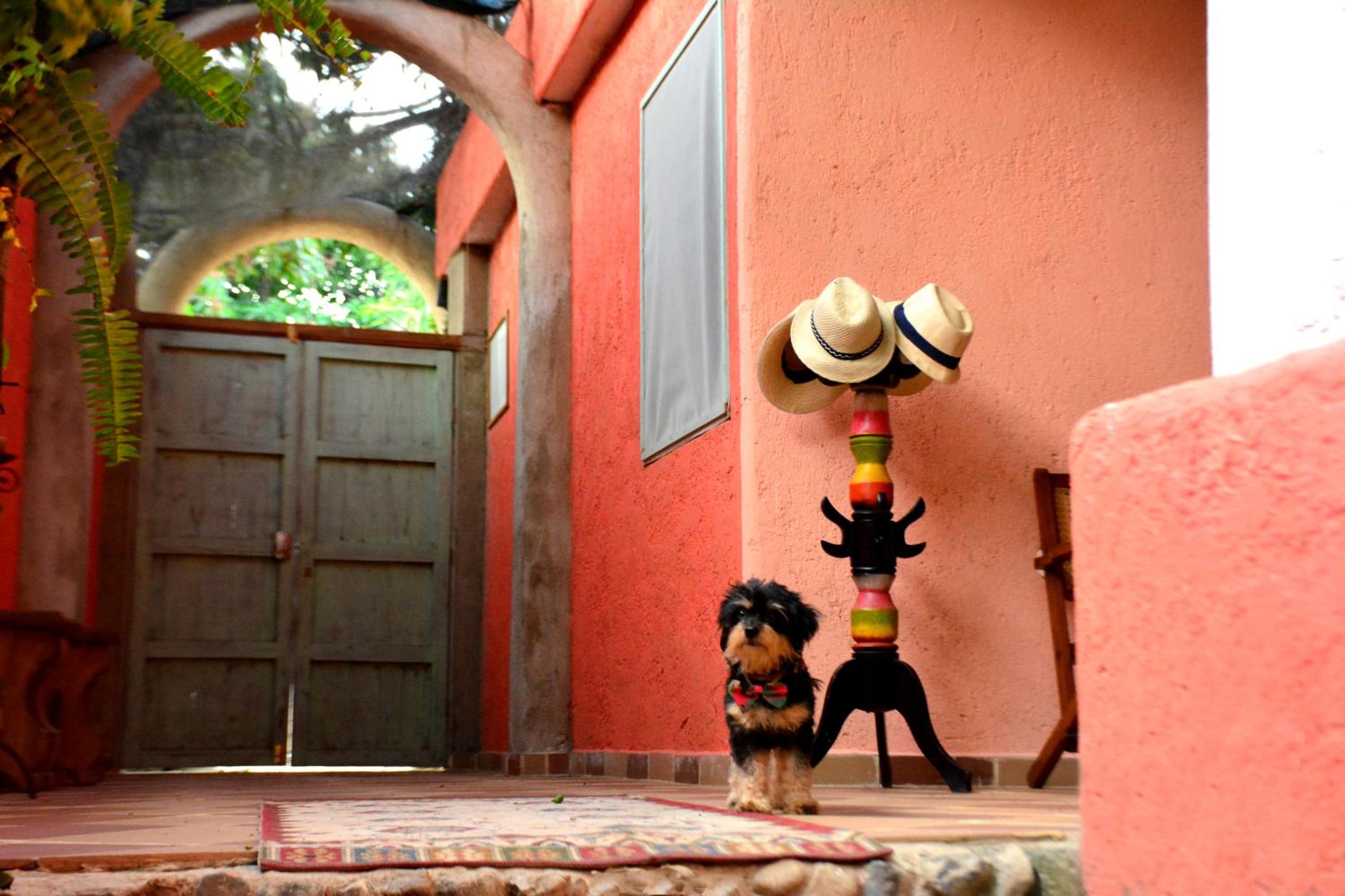 La Percha Hostal