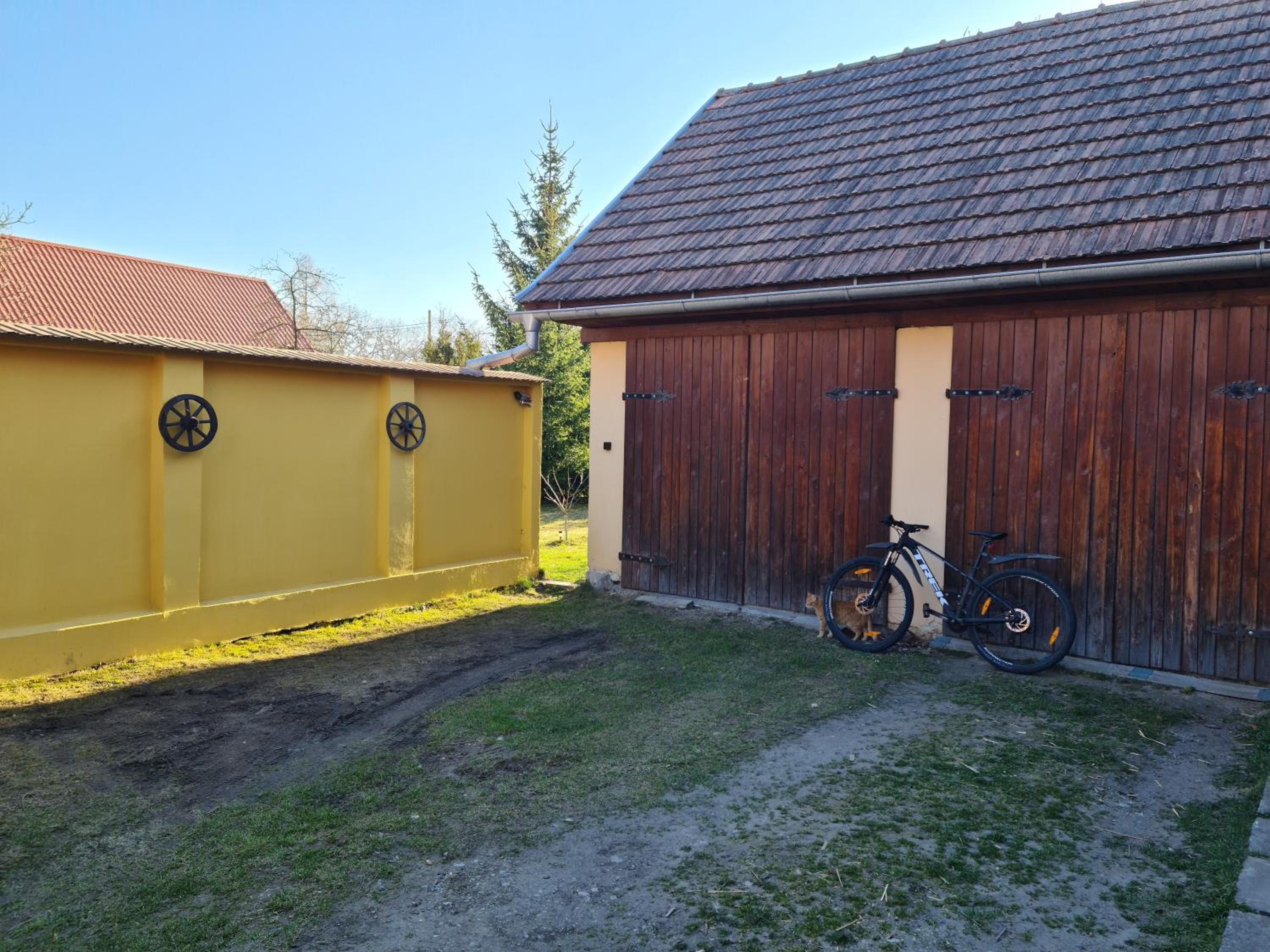 Photo 15