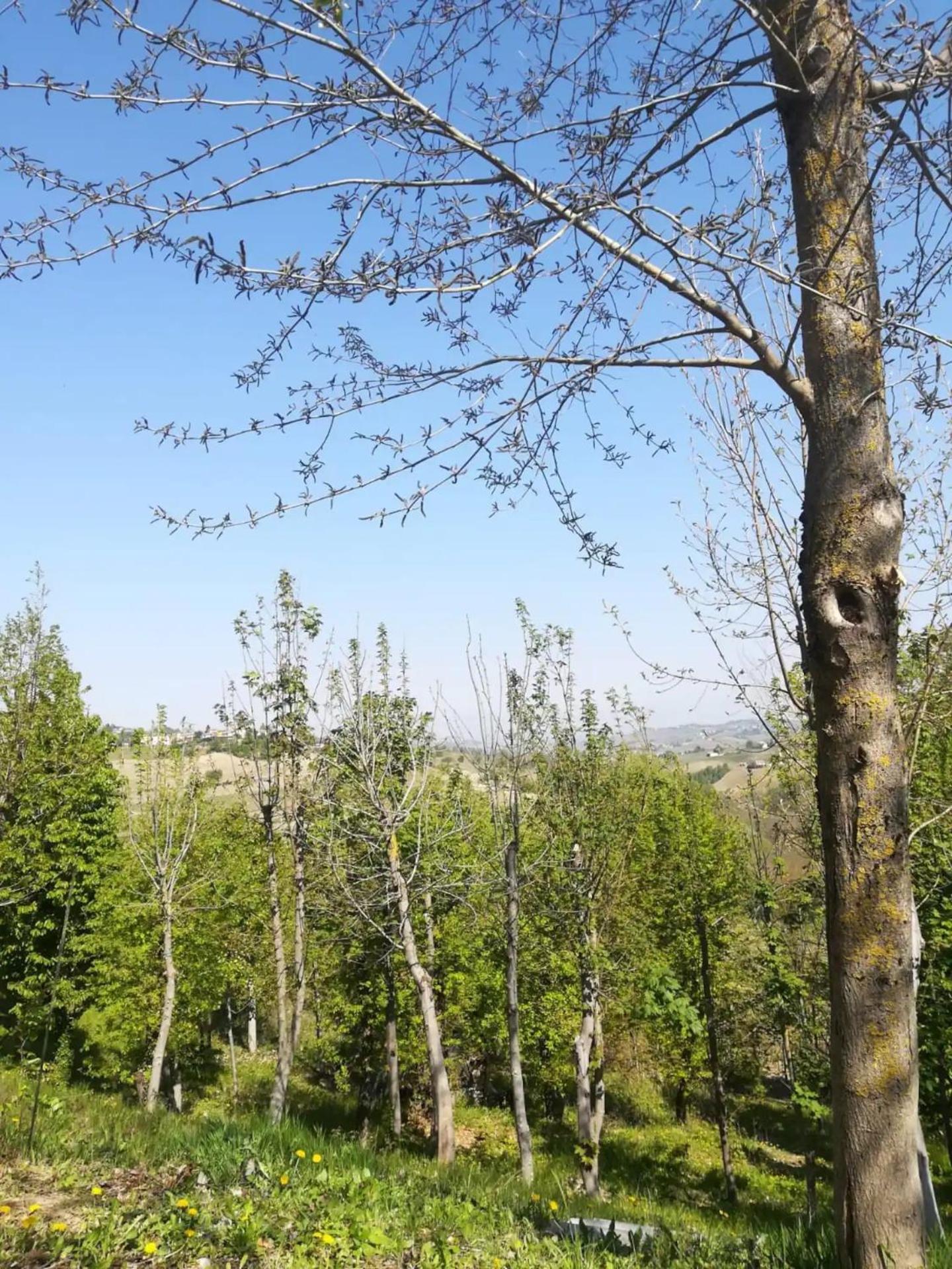 Casa in campagna oltrepo' pavese