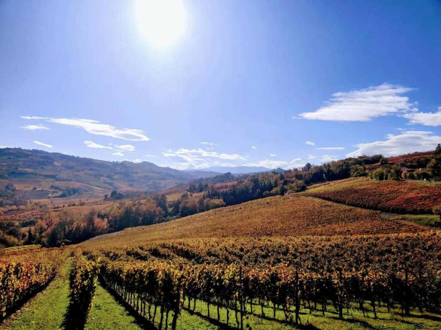 Casa in campagna oltrepo' pavese