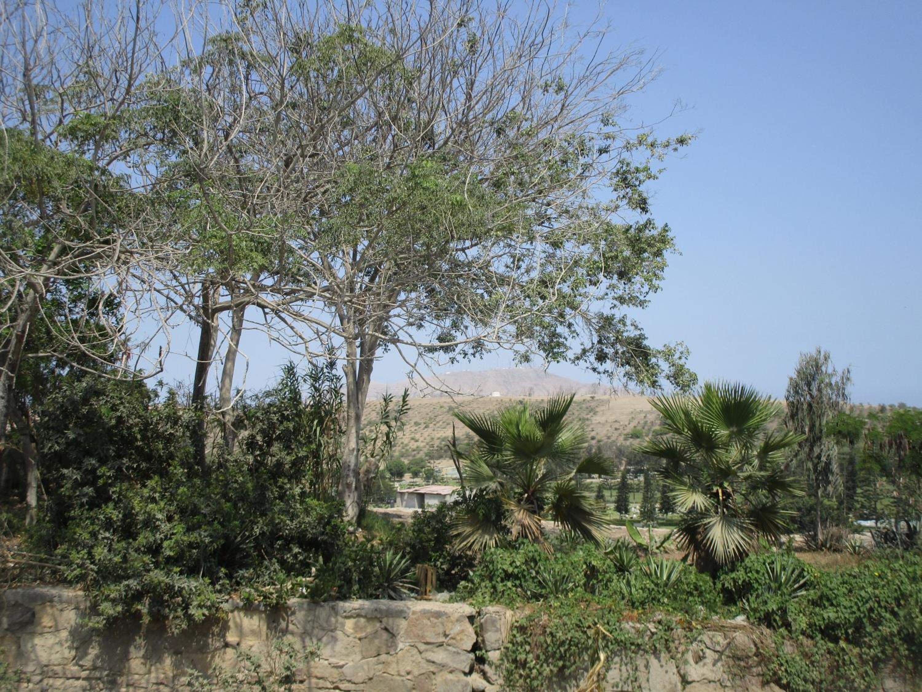Photo 27