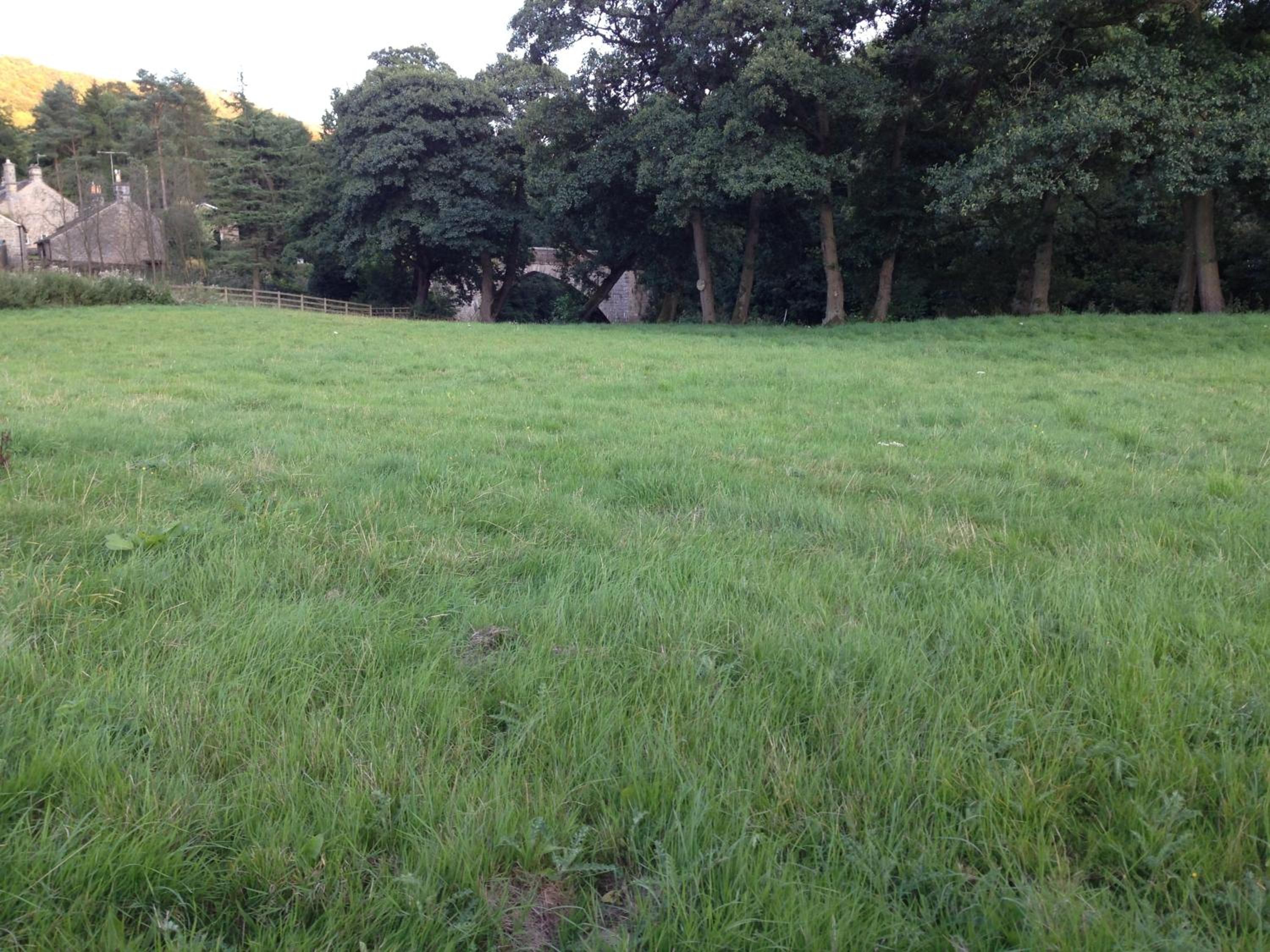 Kingfisher Lodge view 2