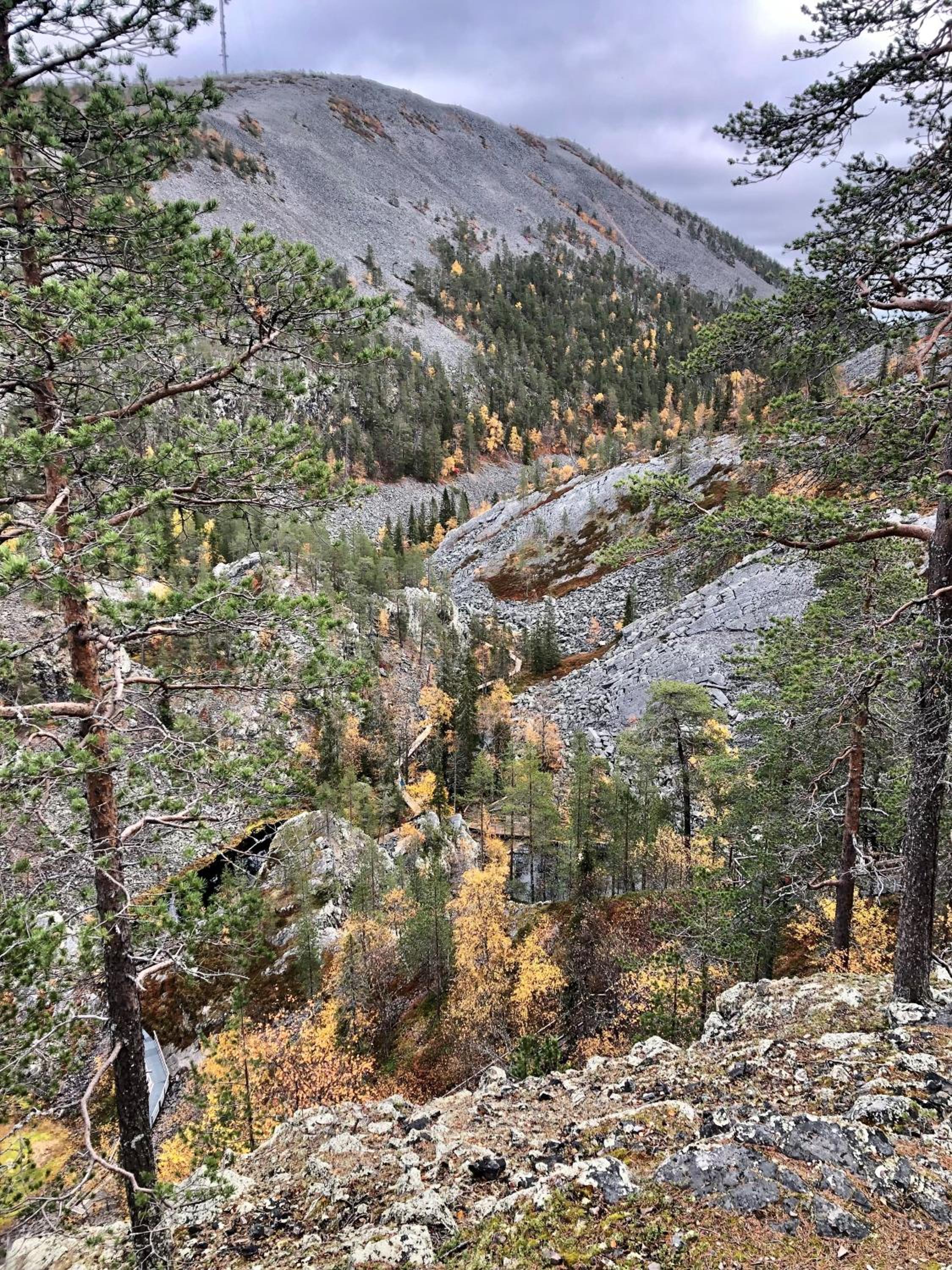 Photo 44