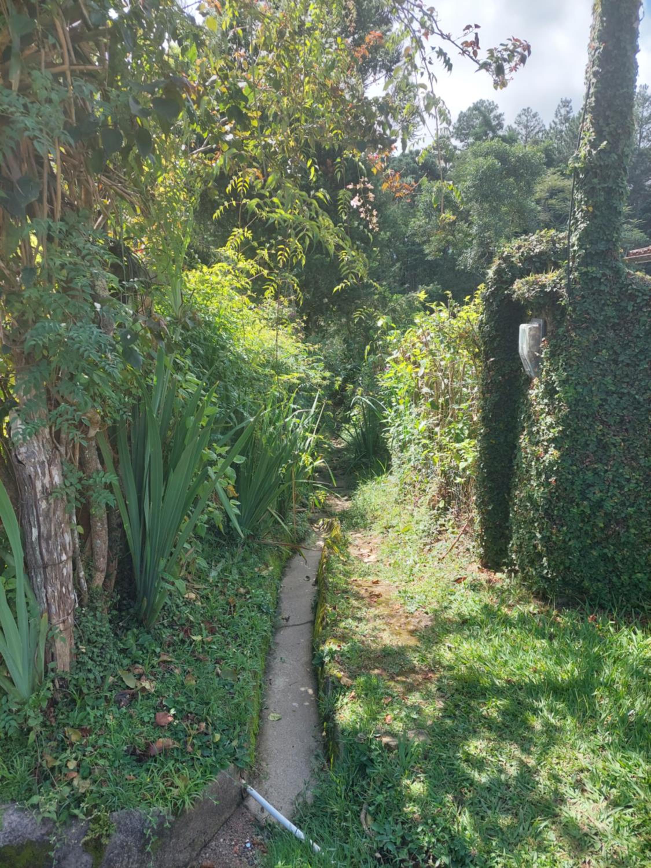 Casa Canto Verde