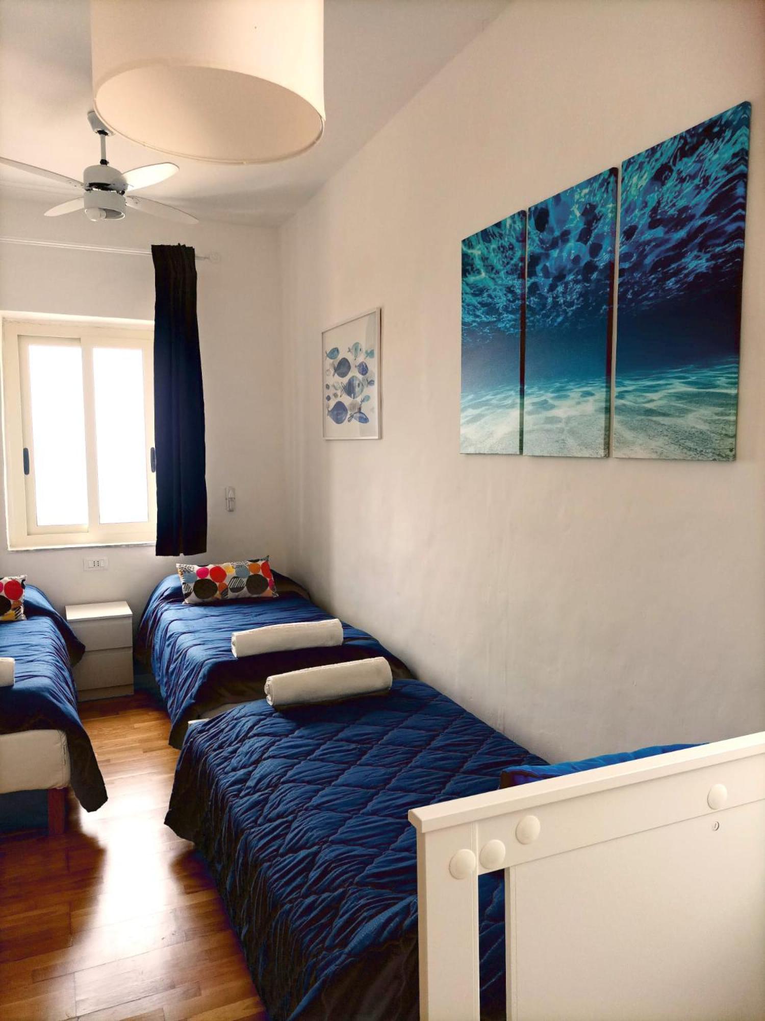 Bluoltremare photo 3