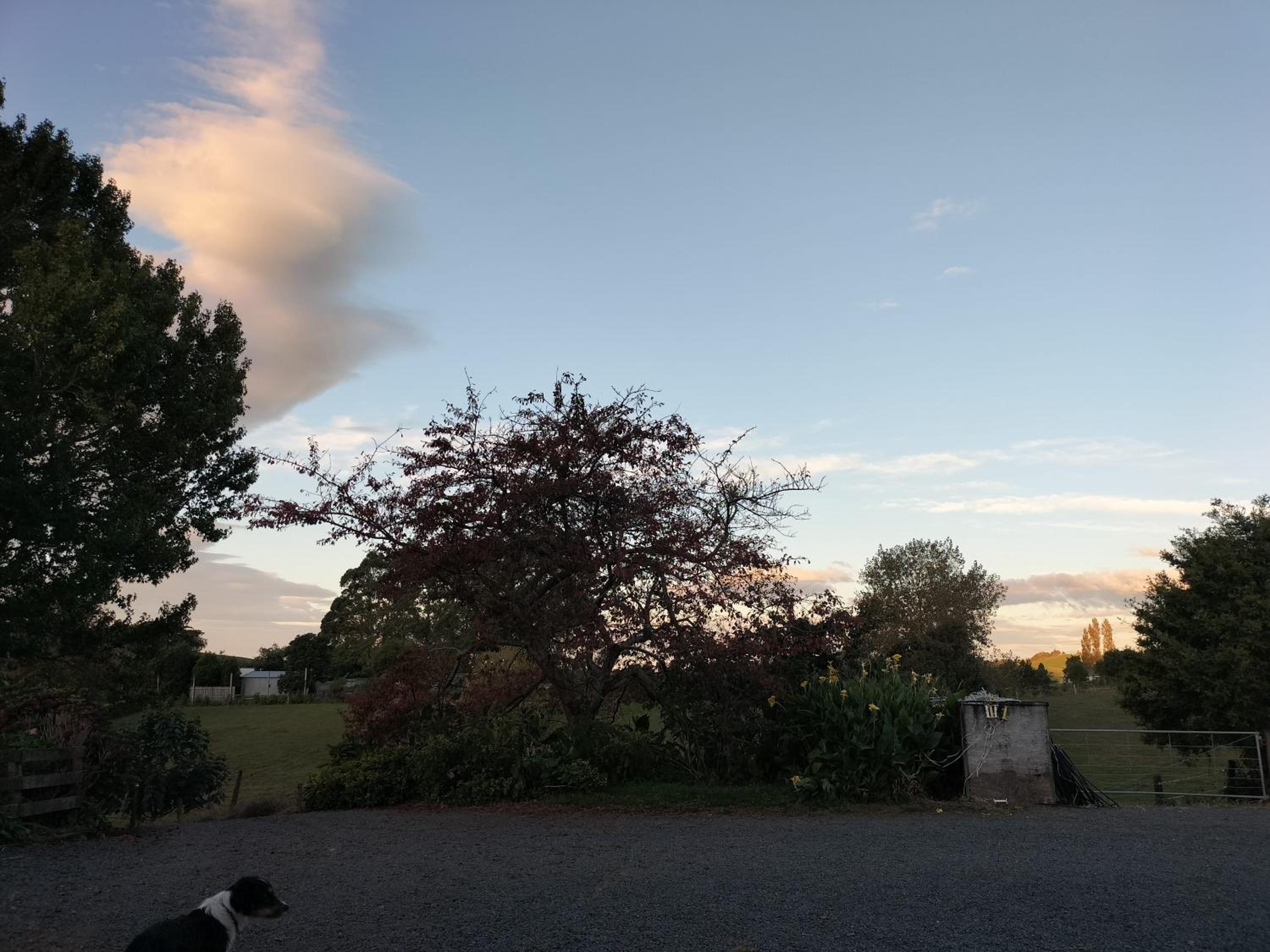 Photo 16