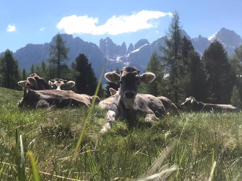 Rifugio Caltena