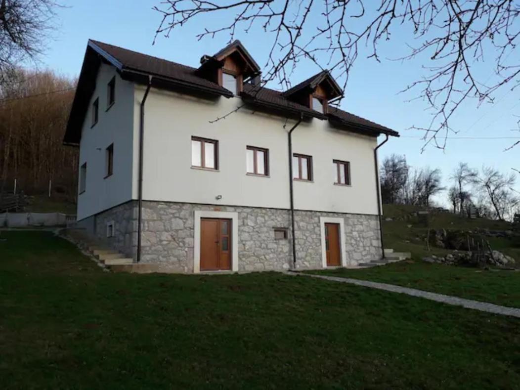 Photo 11