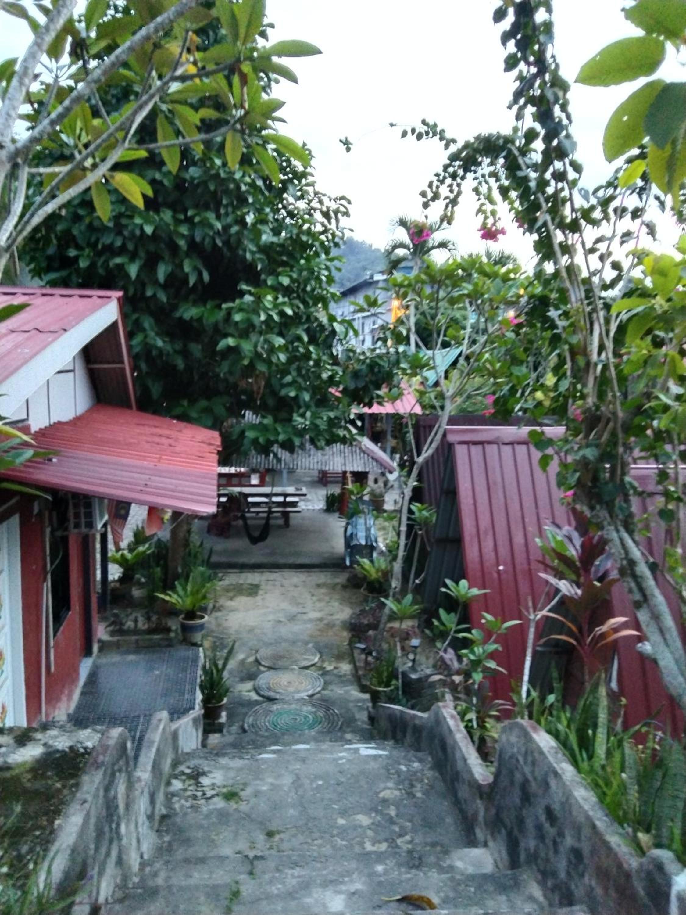 Nazri Nipah Camp Pangkor photo 5