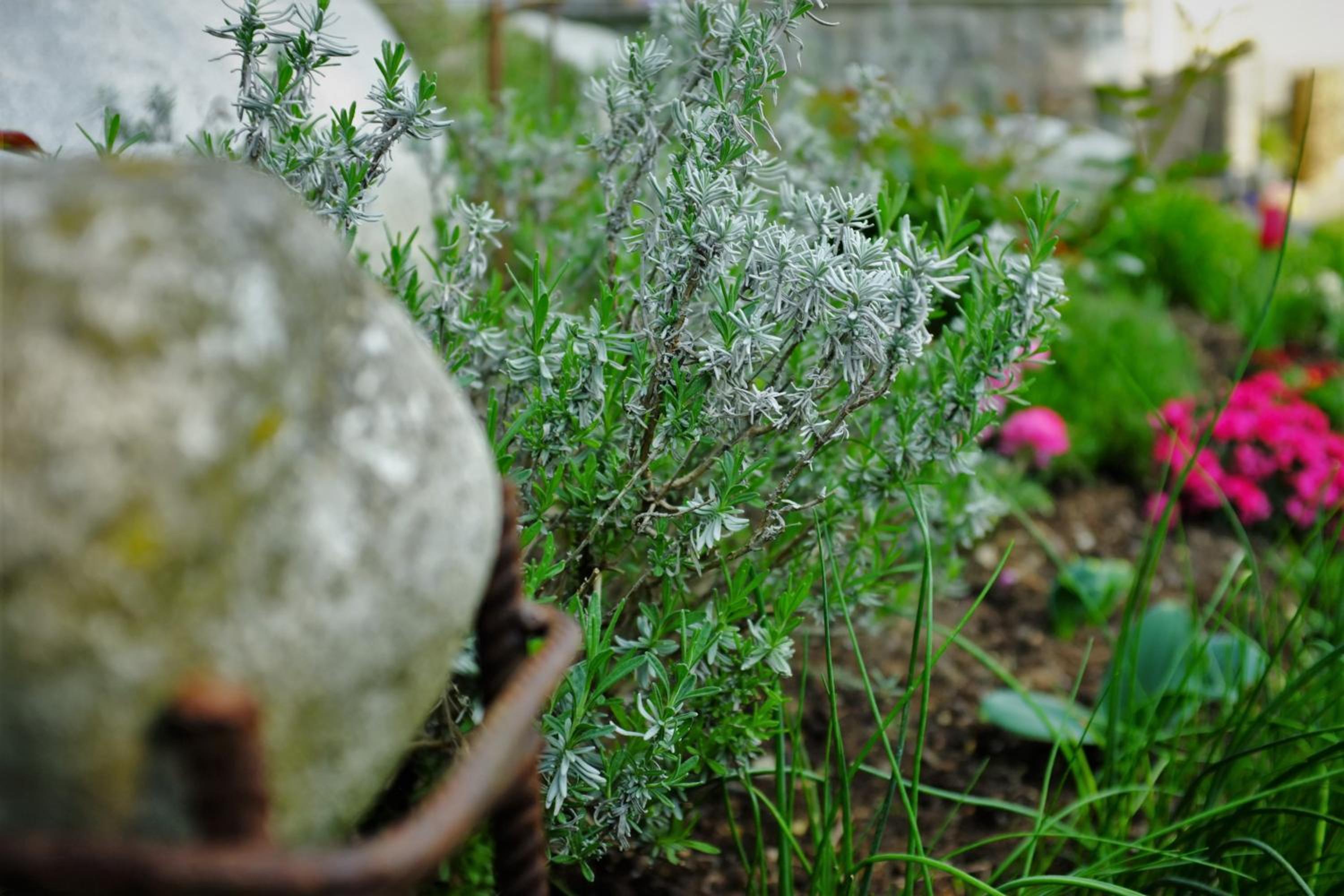 Photo 45