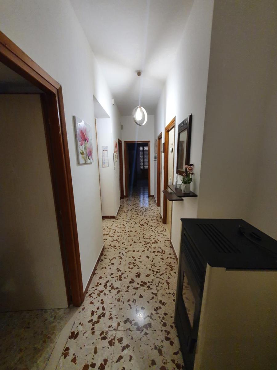 Casa Papona photo 4
