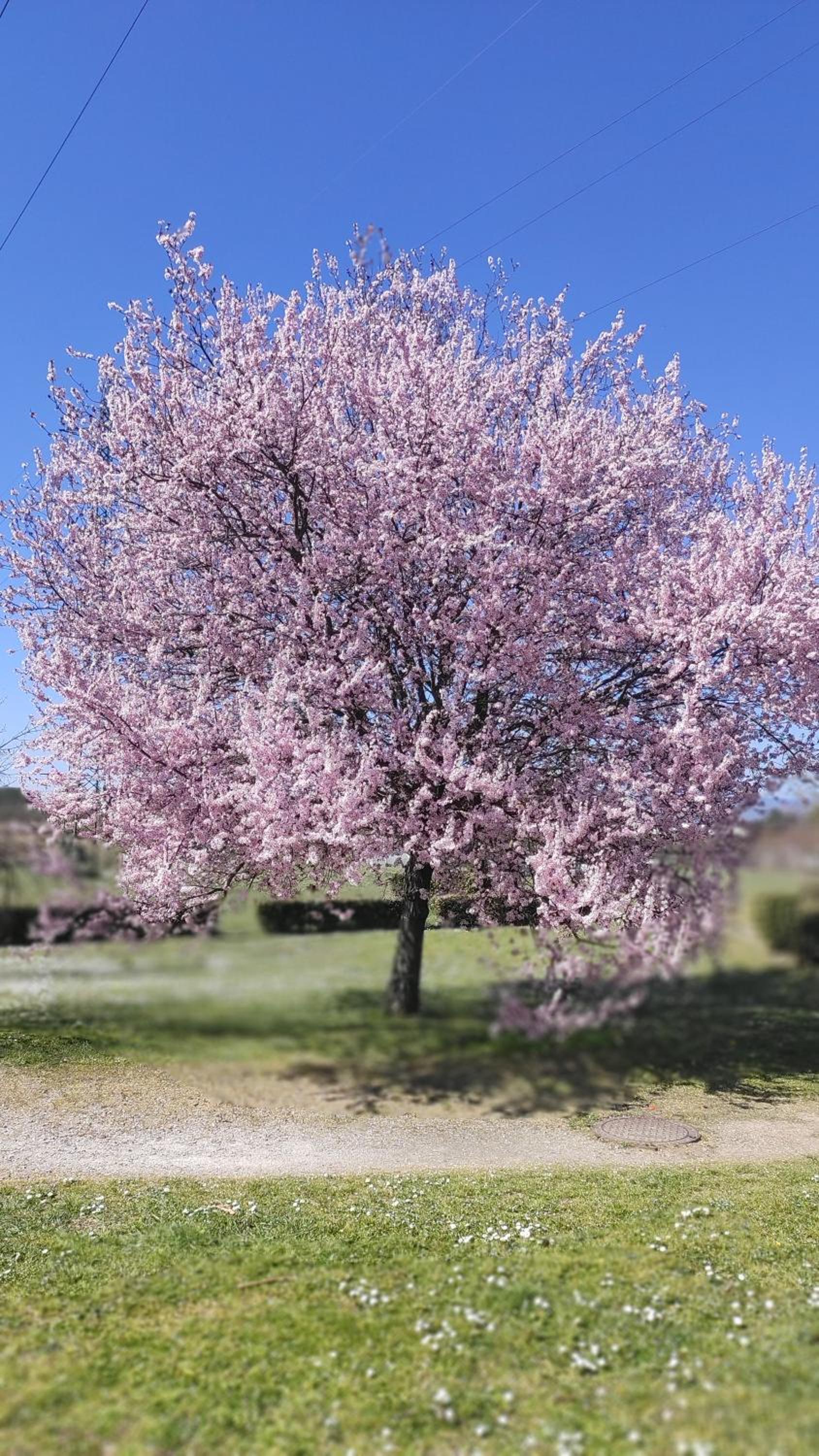 Suite CielAzzurro