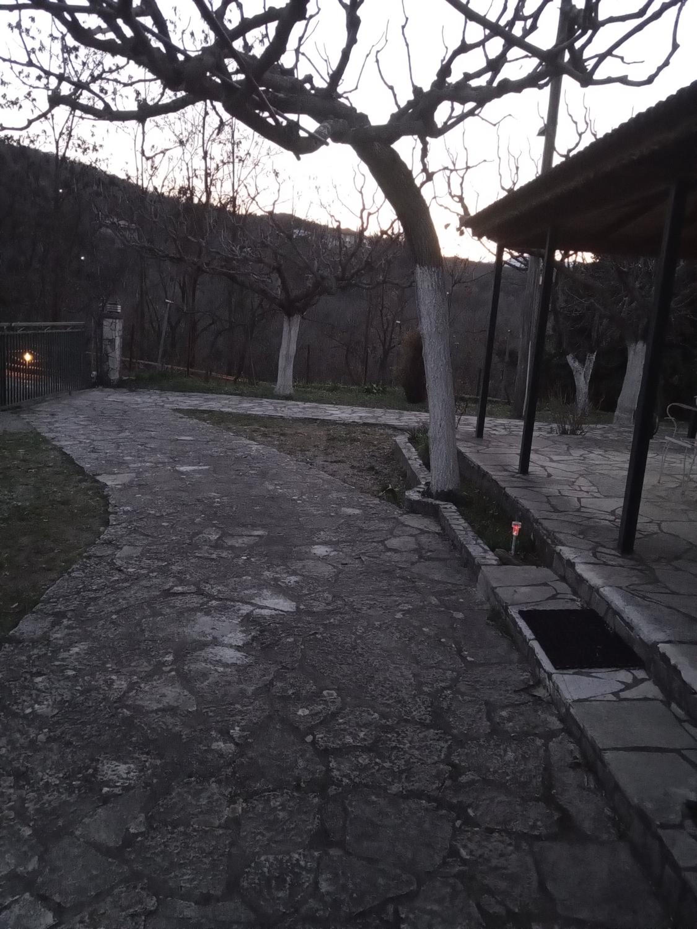 Photo 28