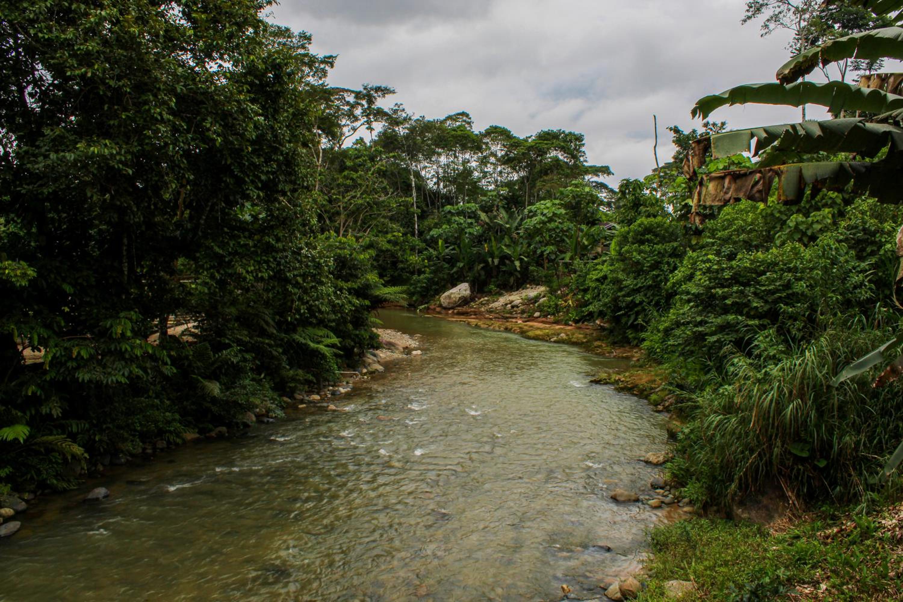 Ingaru Lodge & Reserve view 4