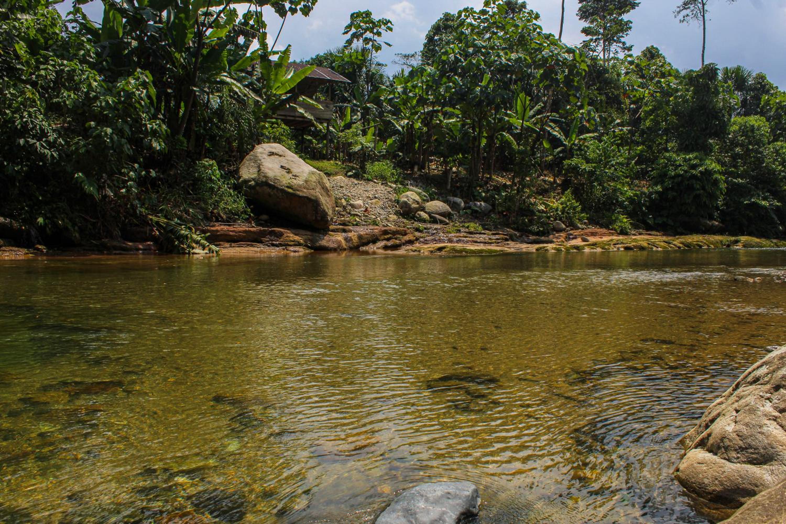 Ingaru Lodge & Reserve view 2