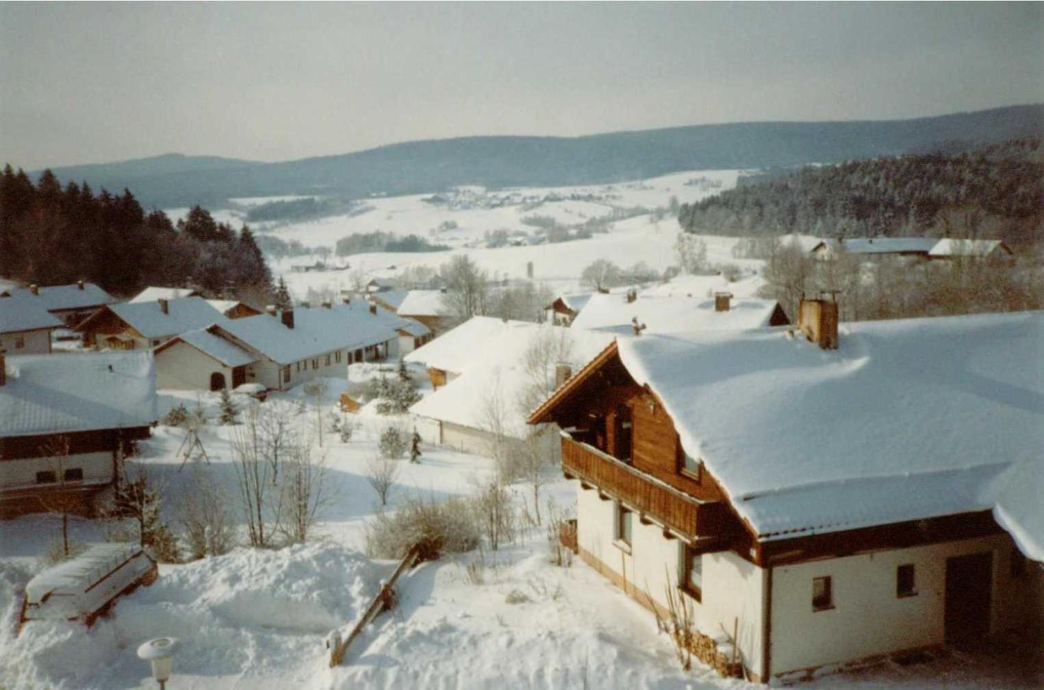 Fewo mit malerischem Bergblick im