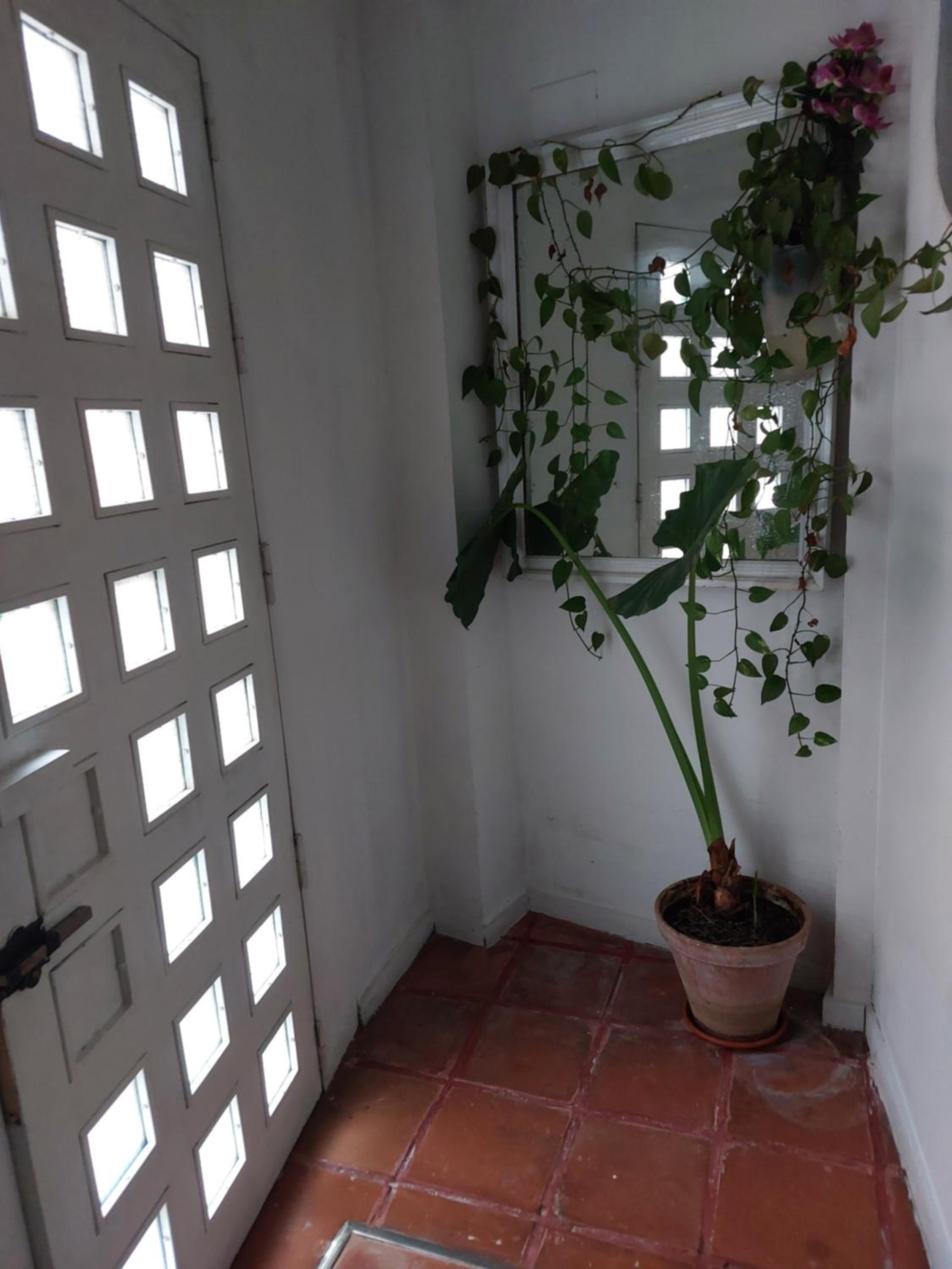 Apartamento tipo loth Alameda